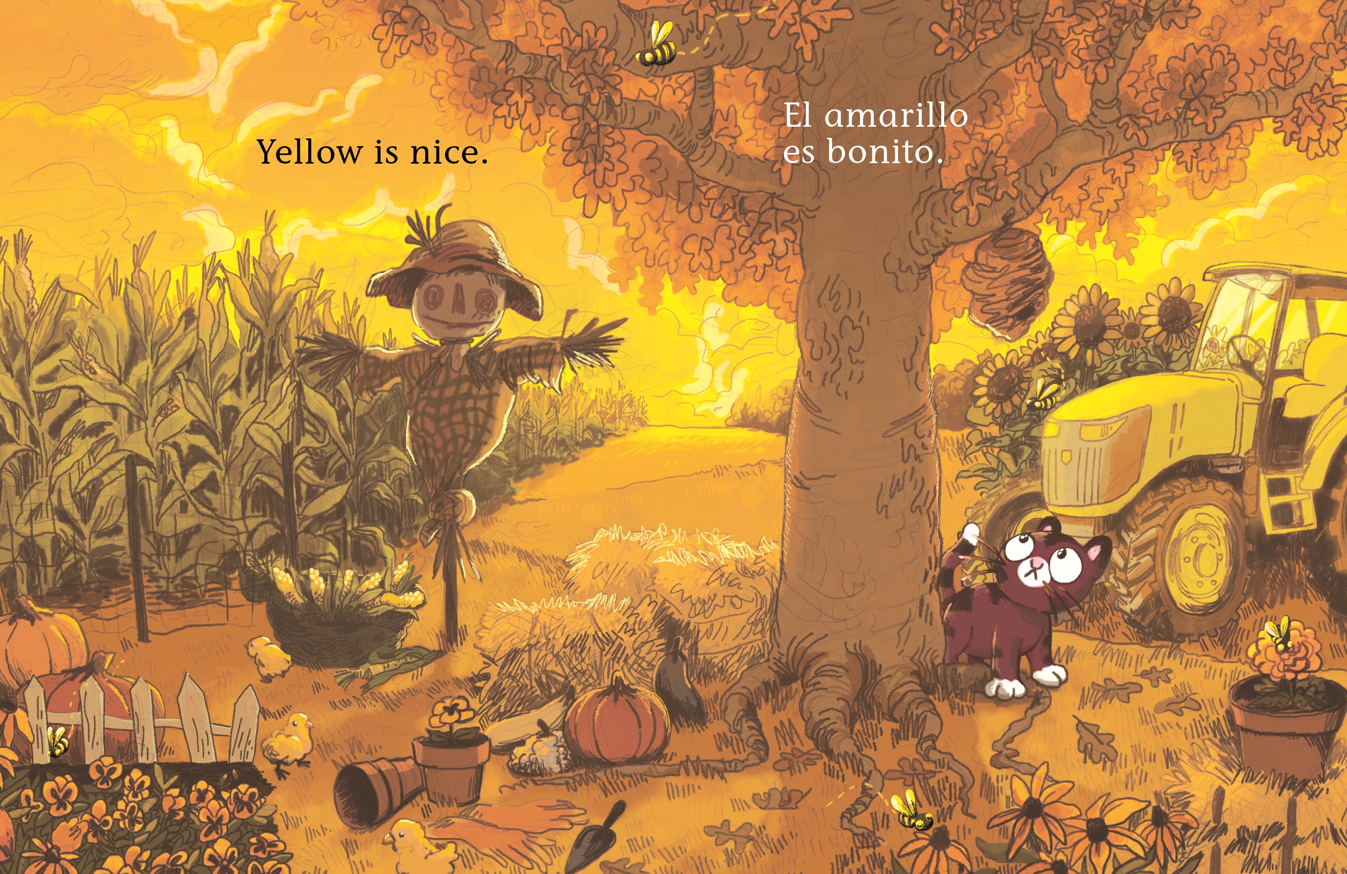 additional book photo