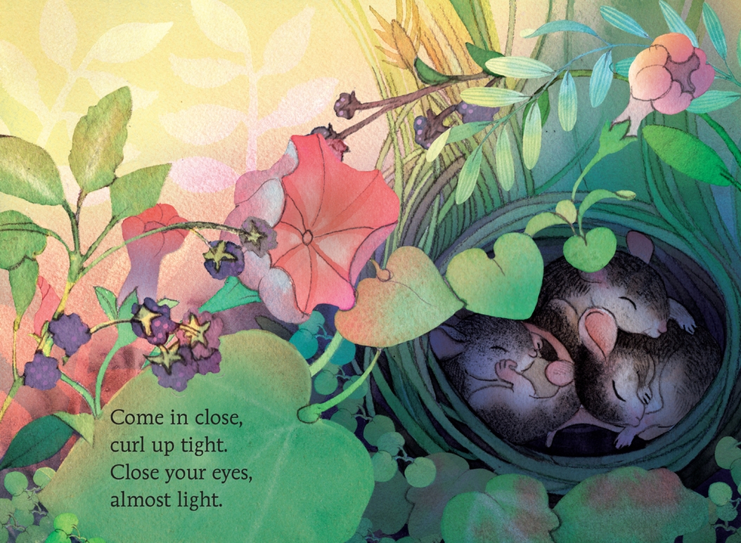 additional book photo