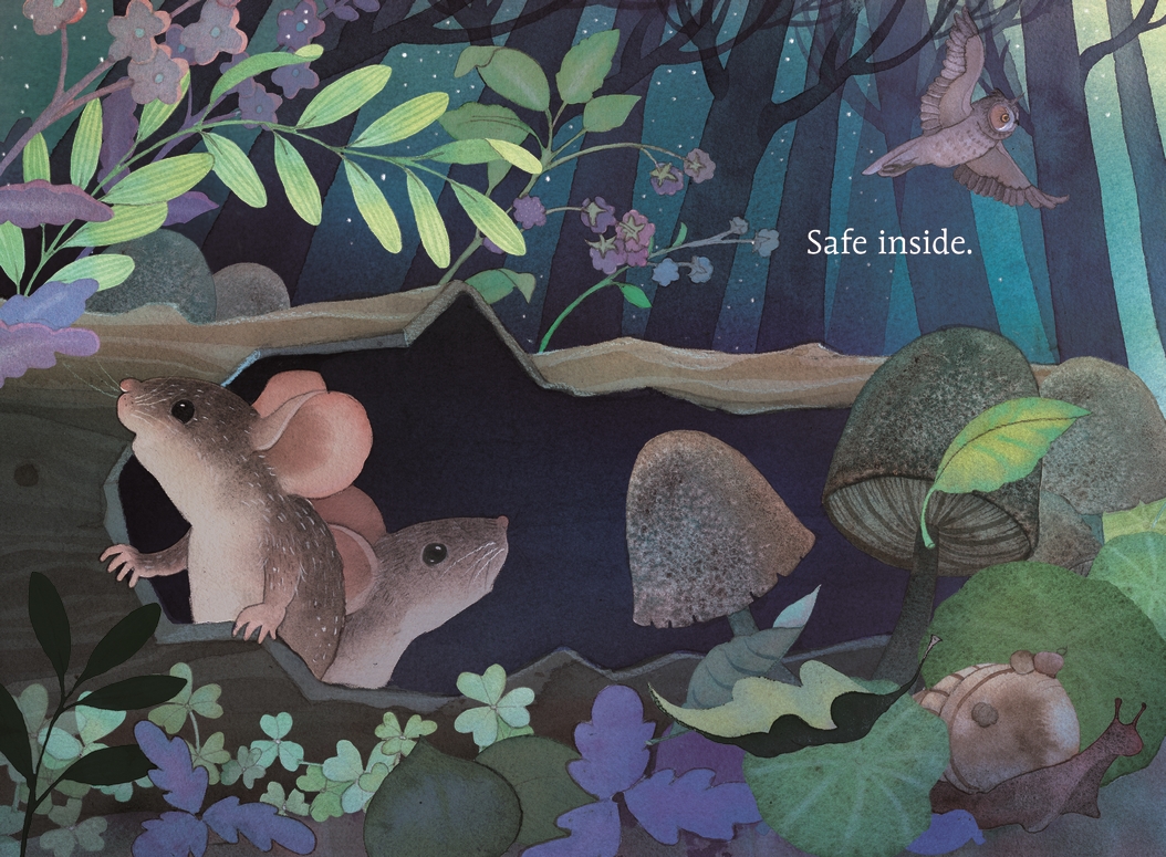 additional book photo