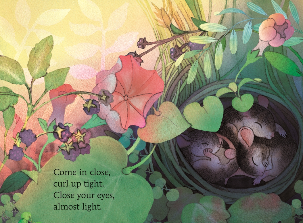 additional book photo
