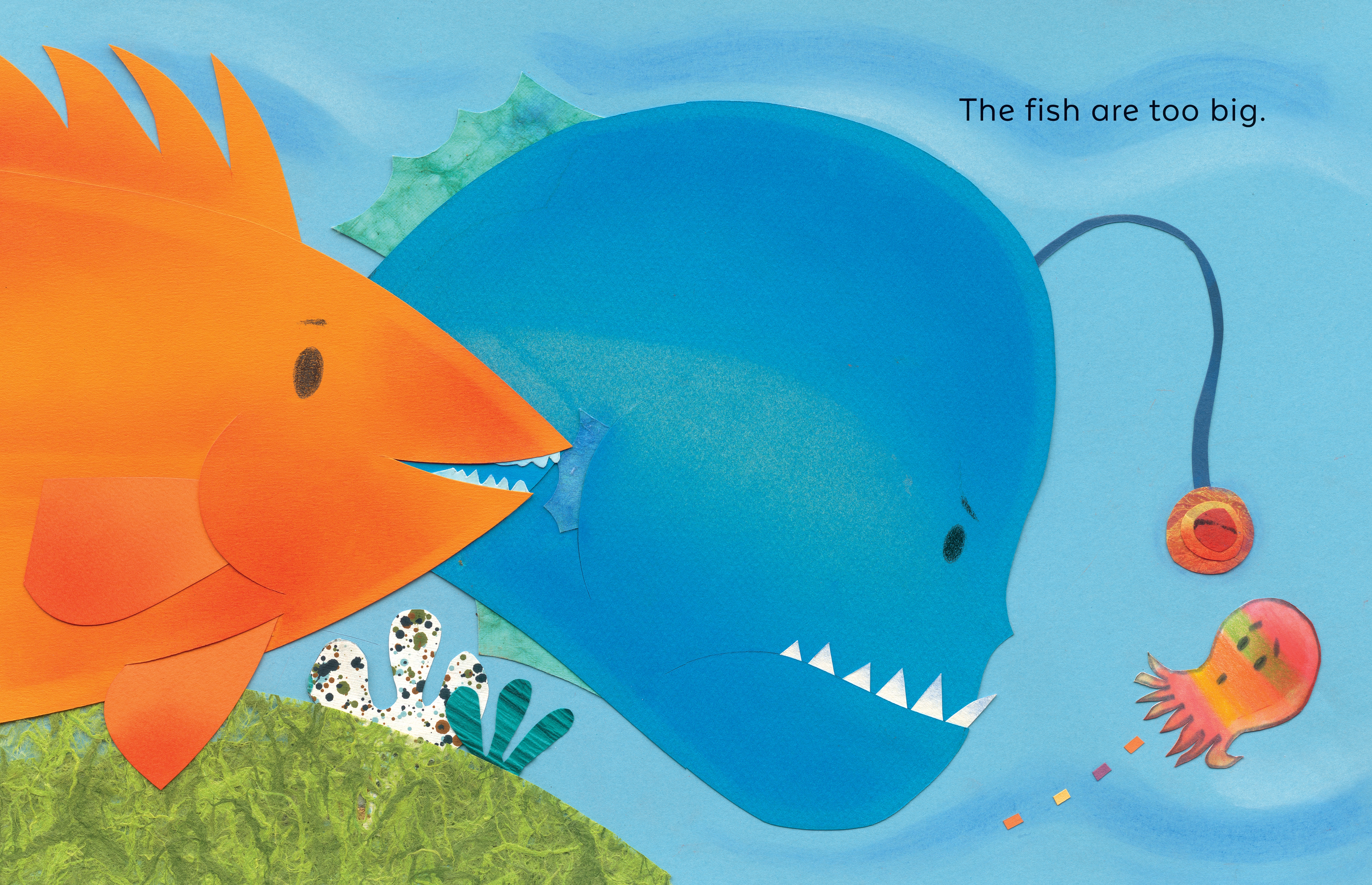 additional book photo