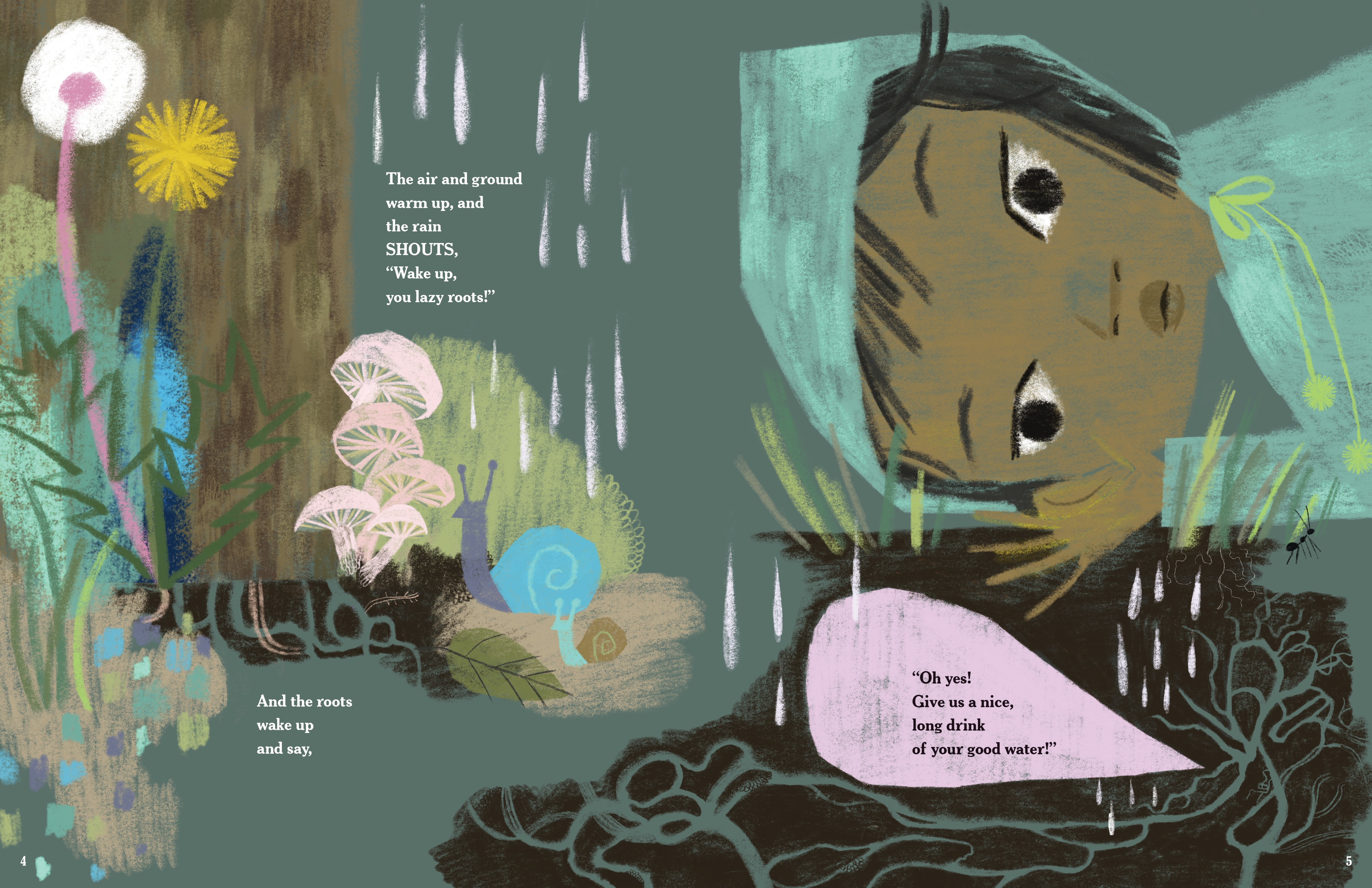 additional book photo