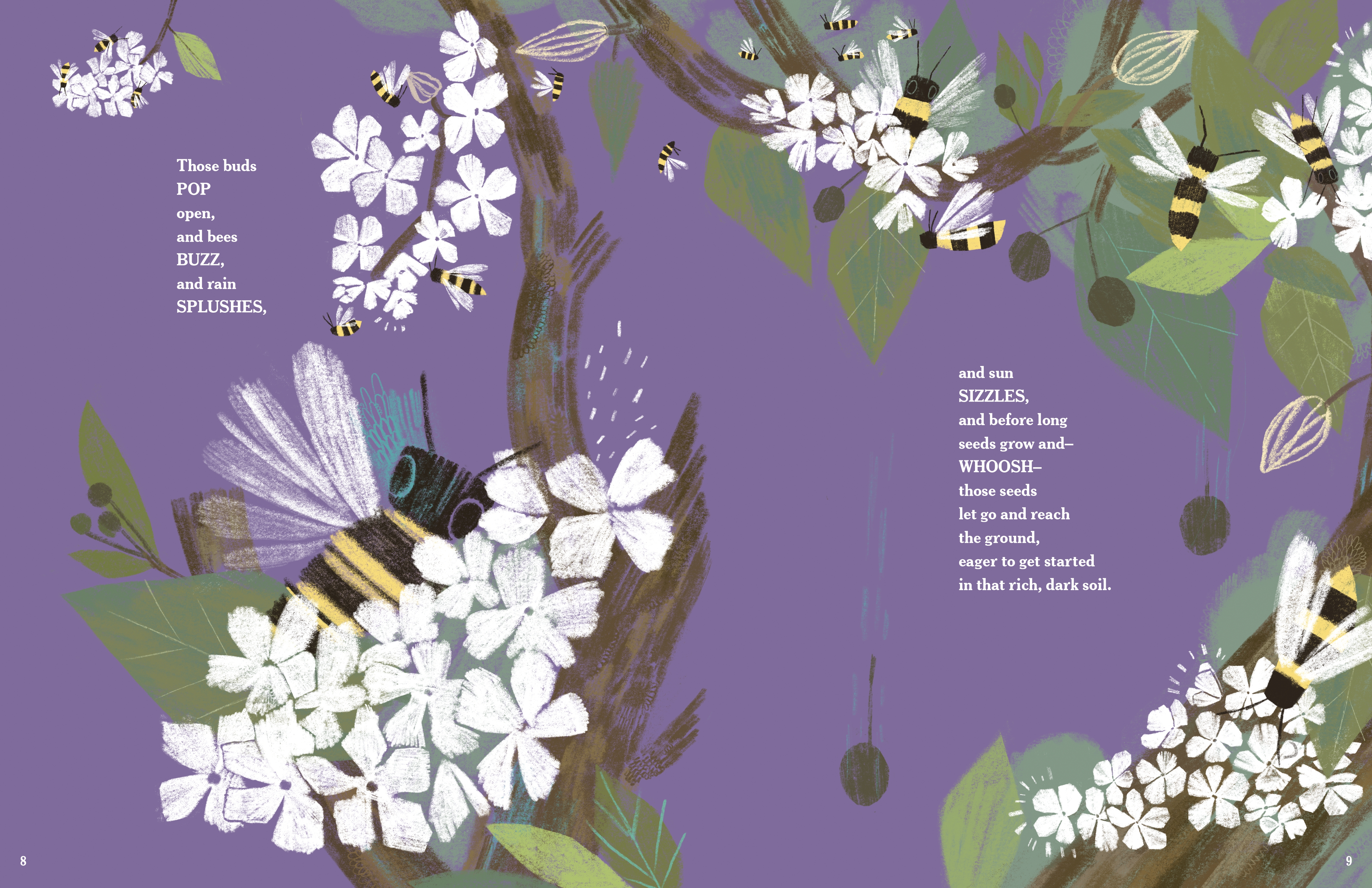 additional book photo