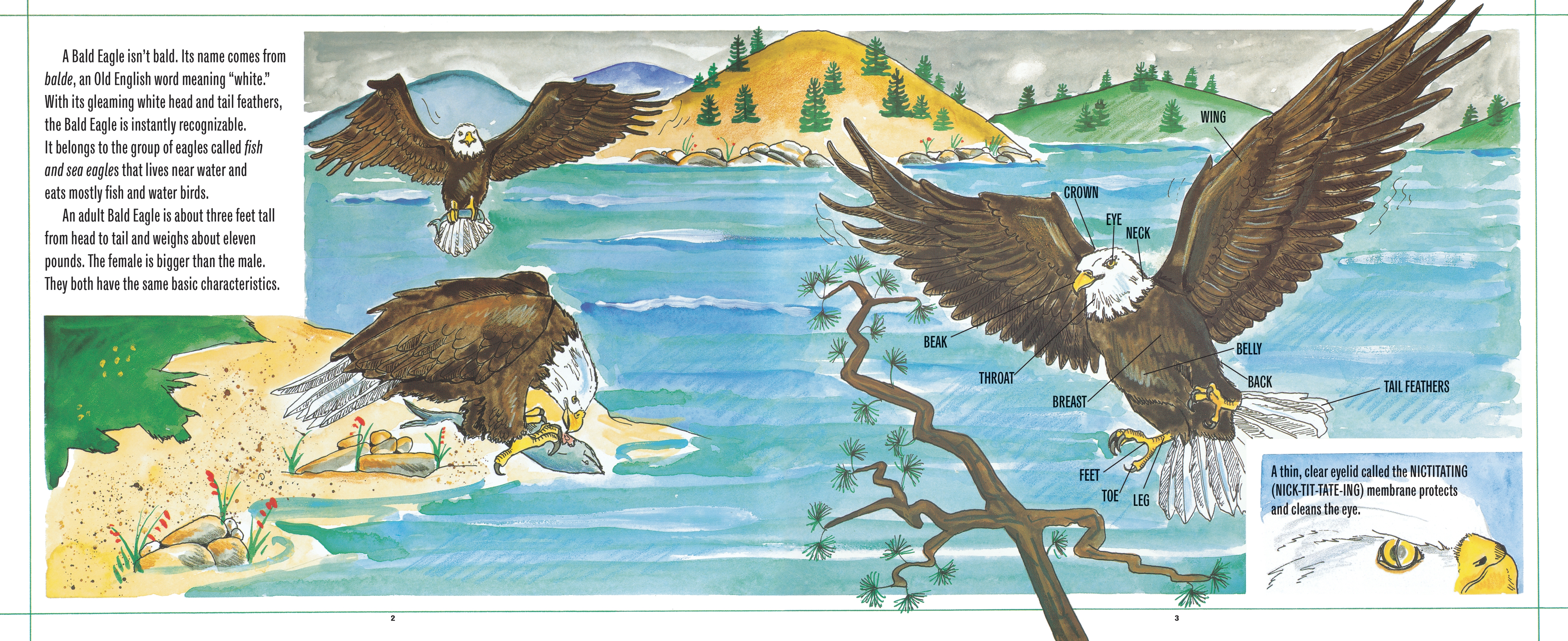 additional book photo