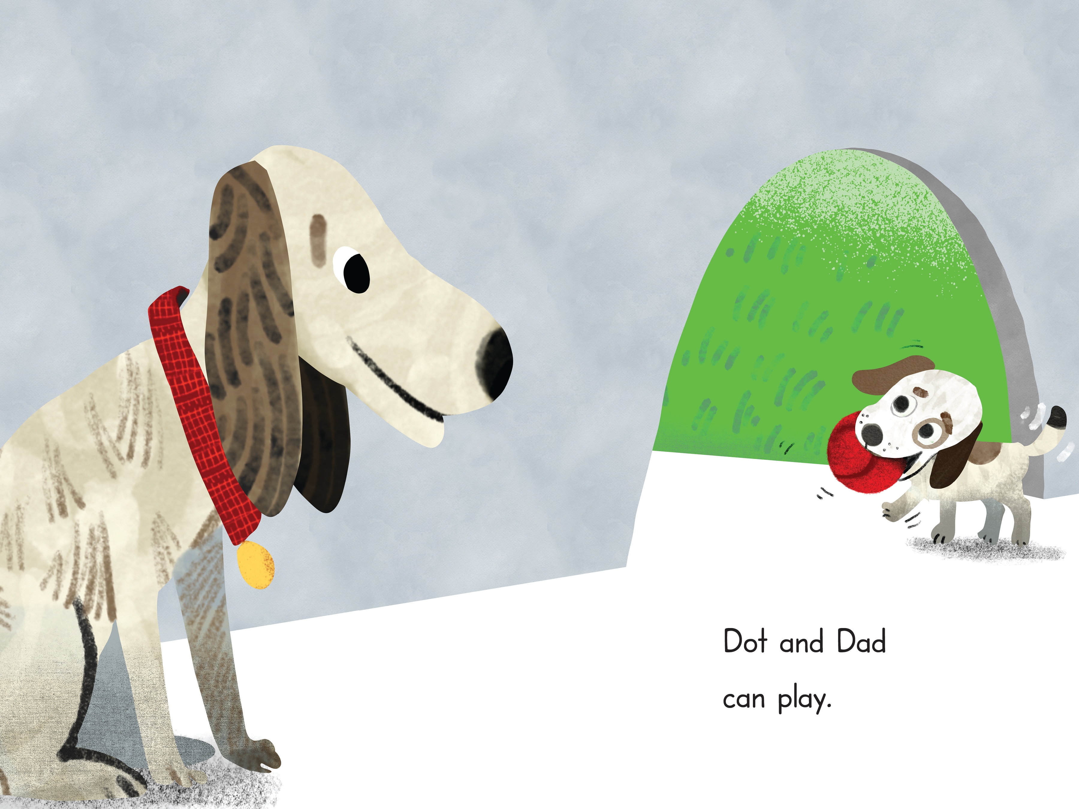 additional book photo