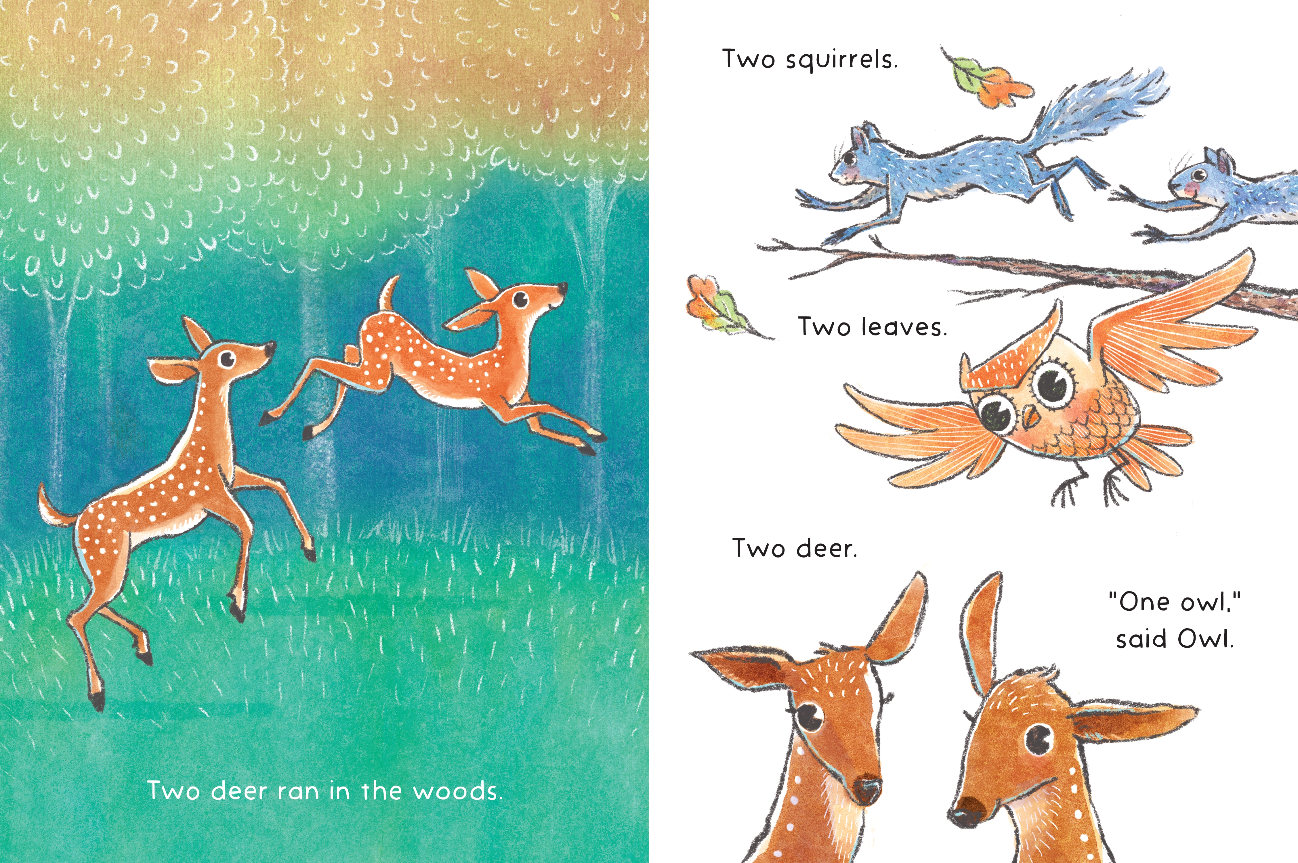 additional book photo