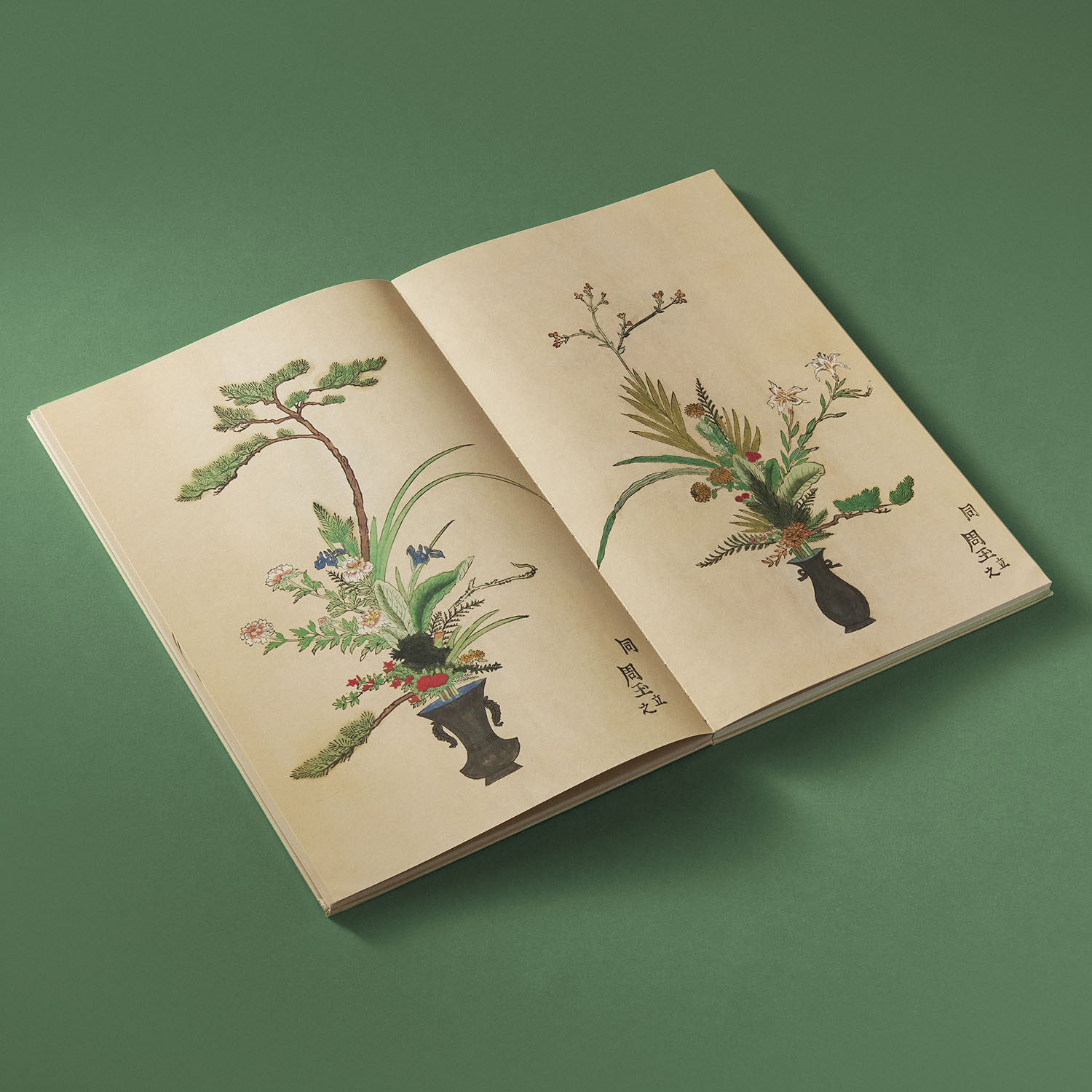 additional book photo