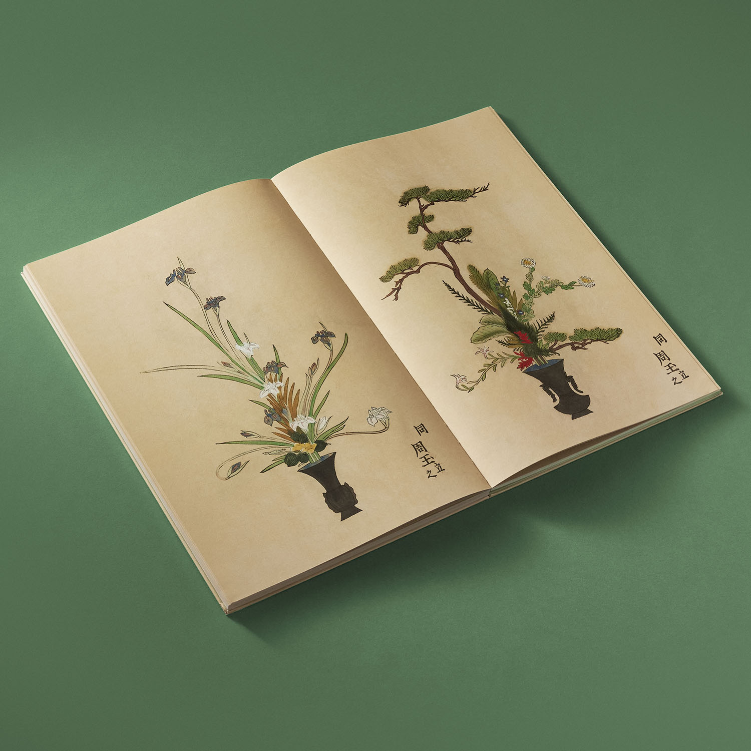 additional book photo