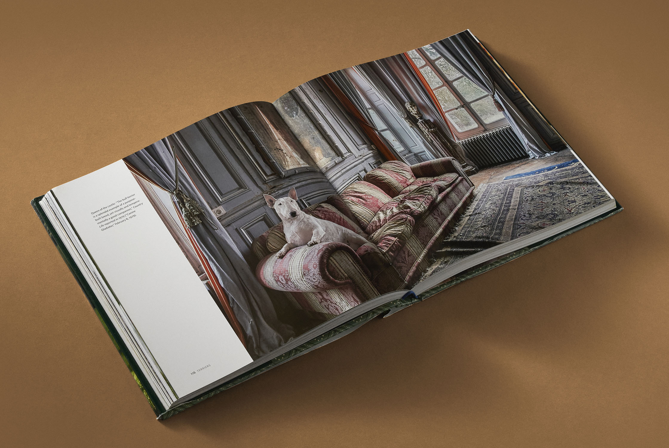 additional book photo