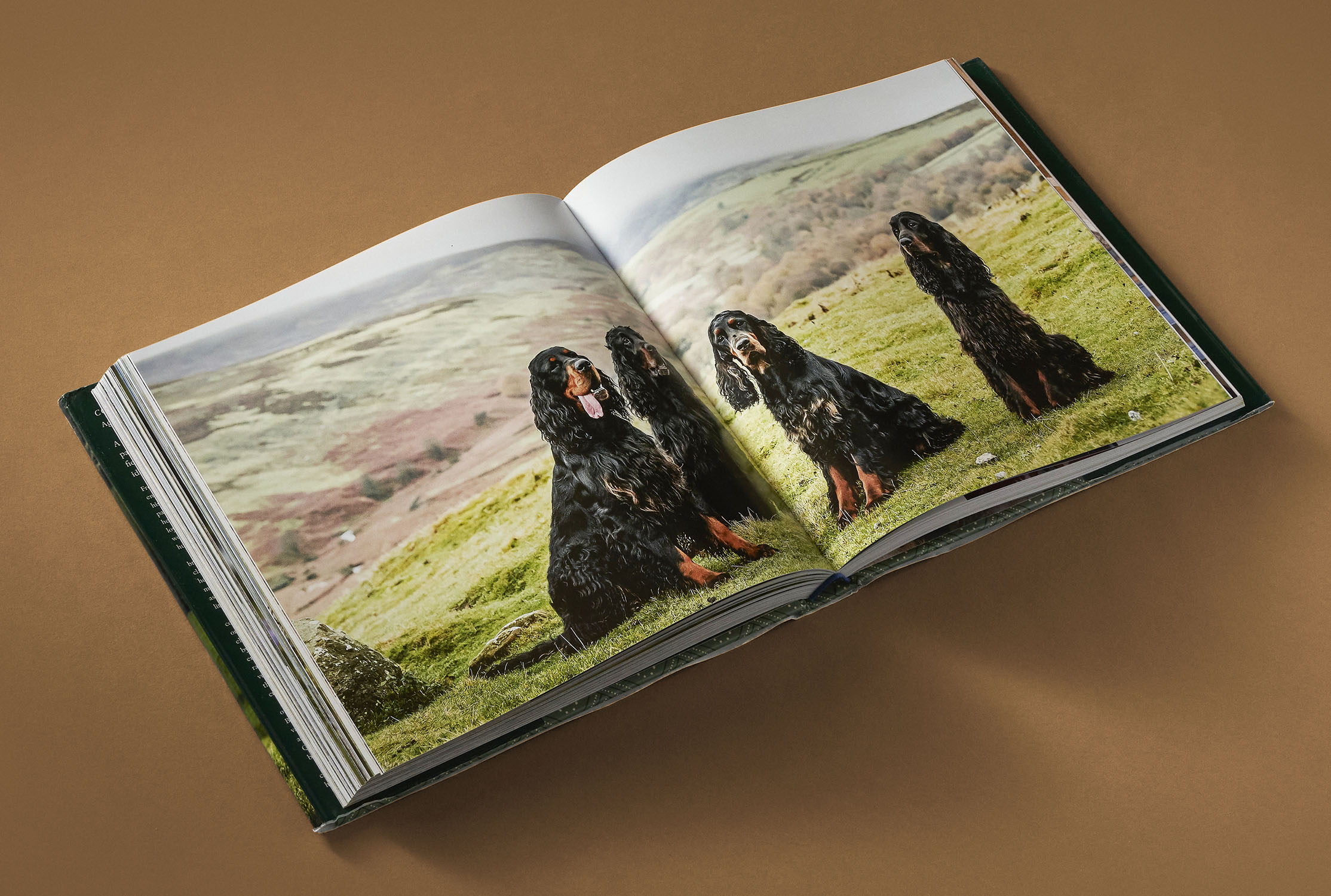 additional book photo