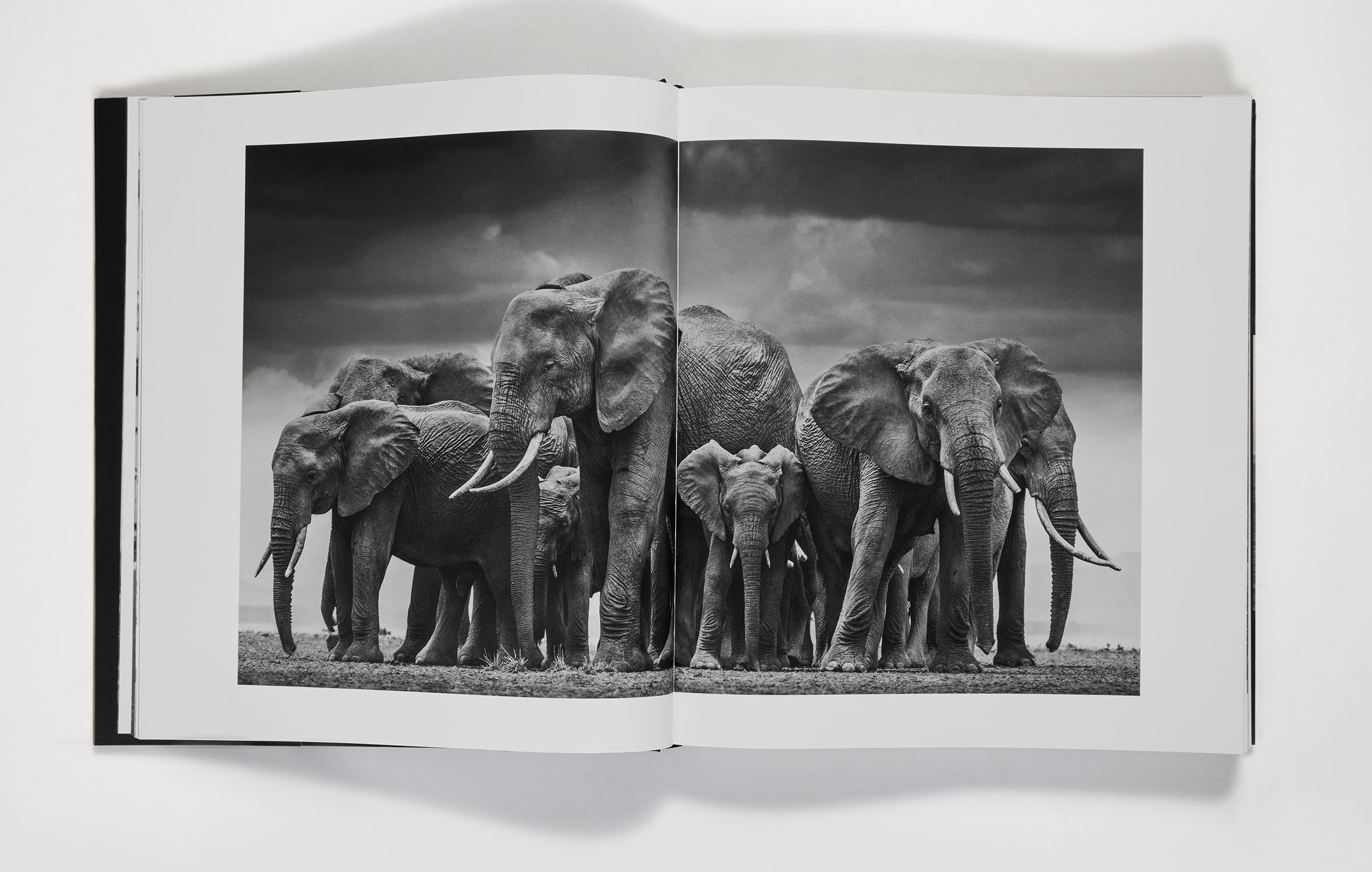 additional book photo
