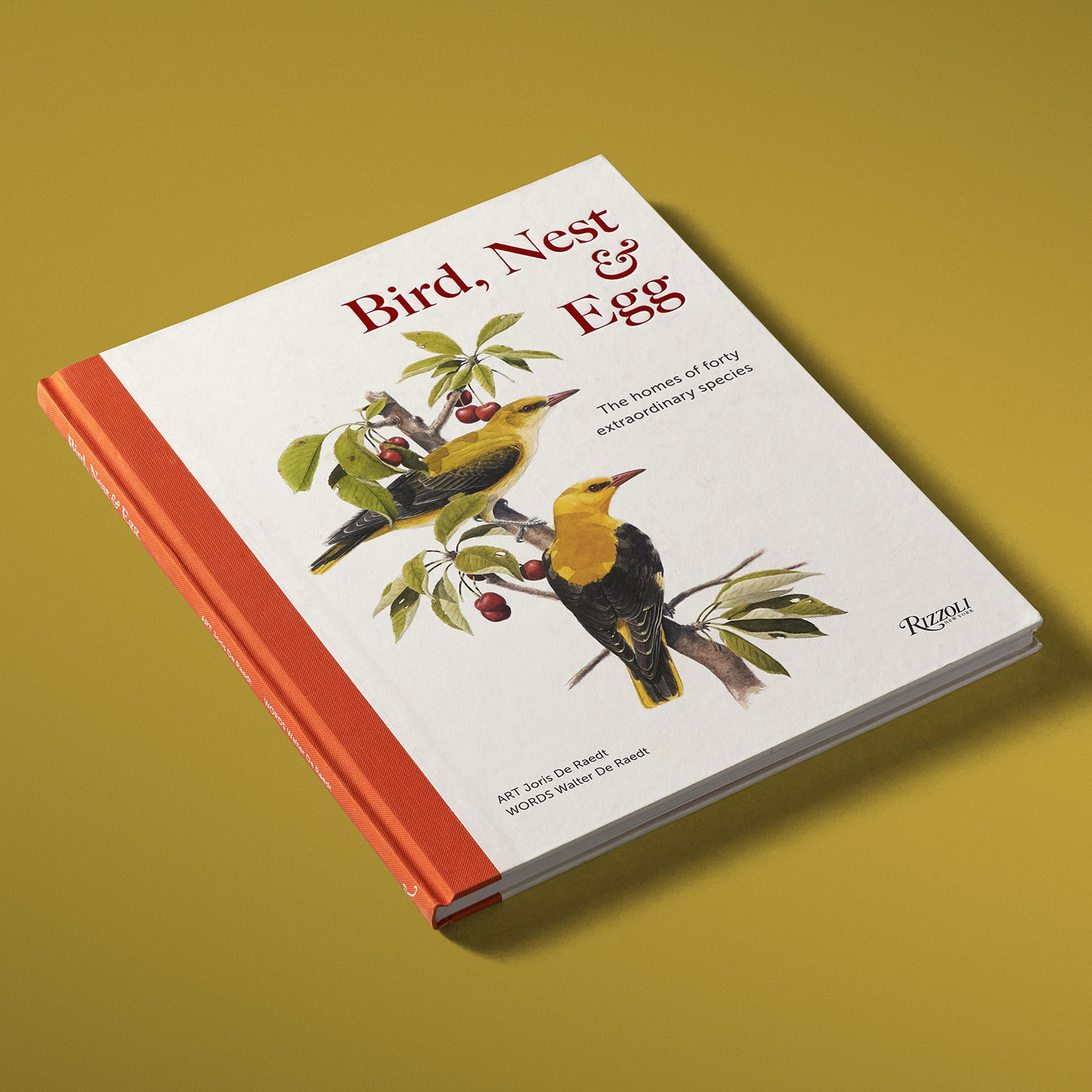 additional book photo