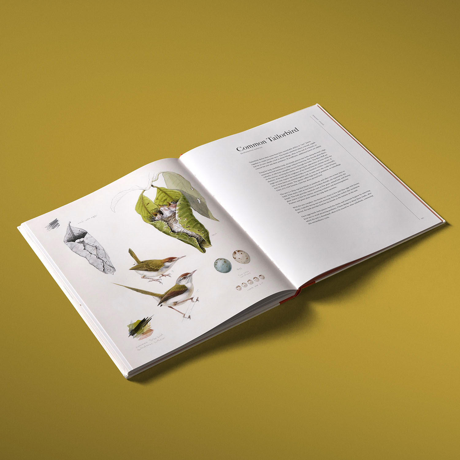 additional book photo