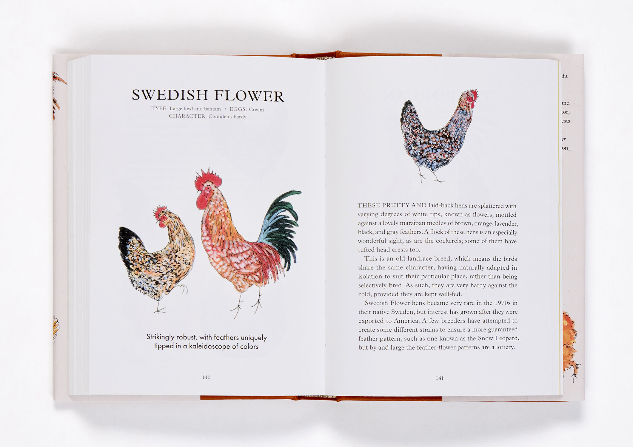 additional book photo