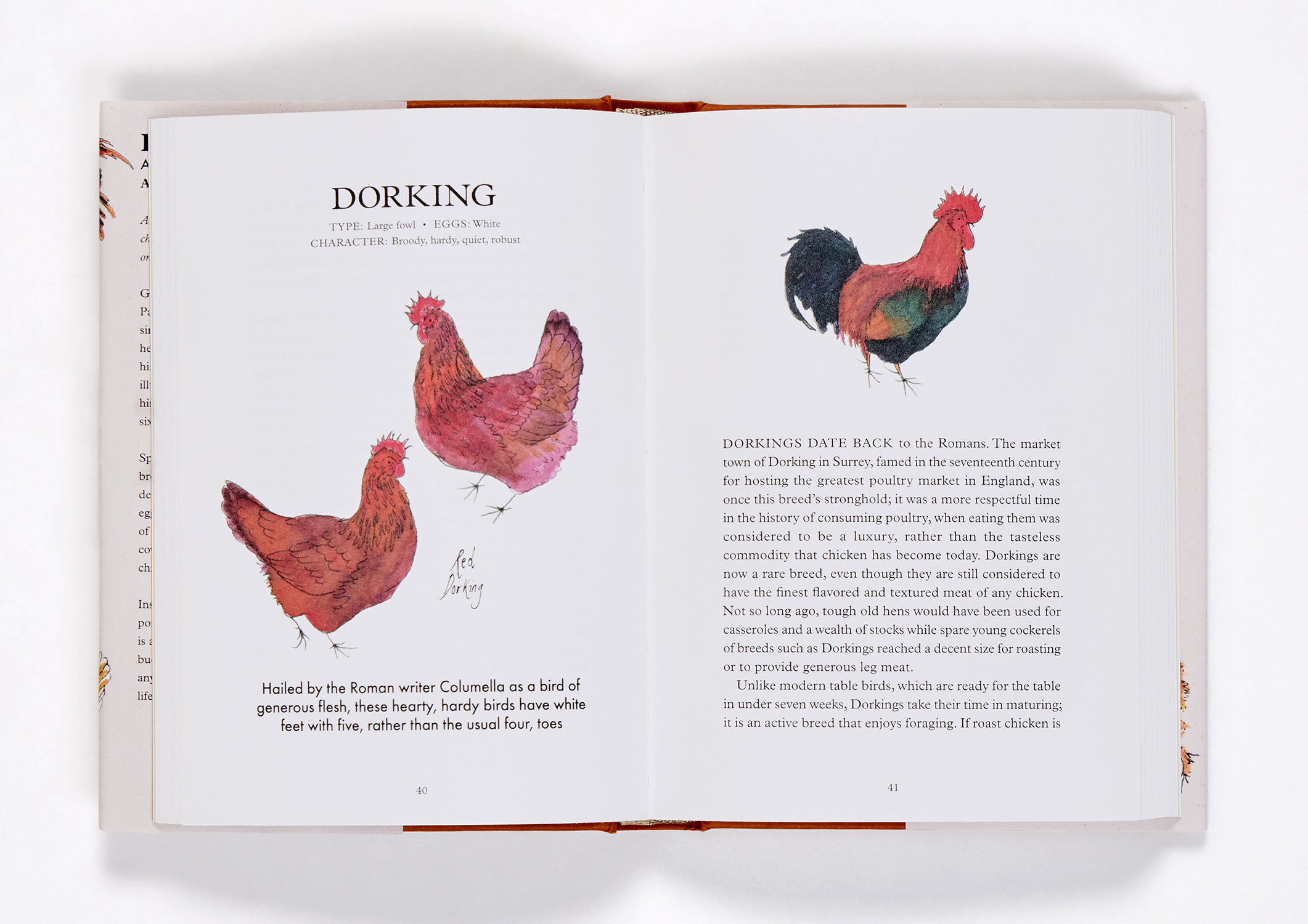 additional book photo
