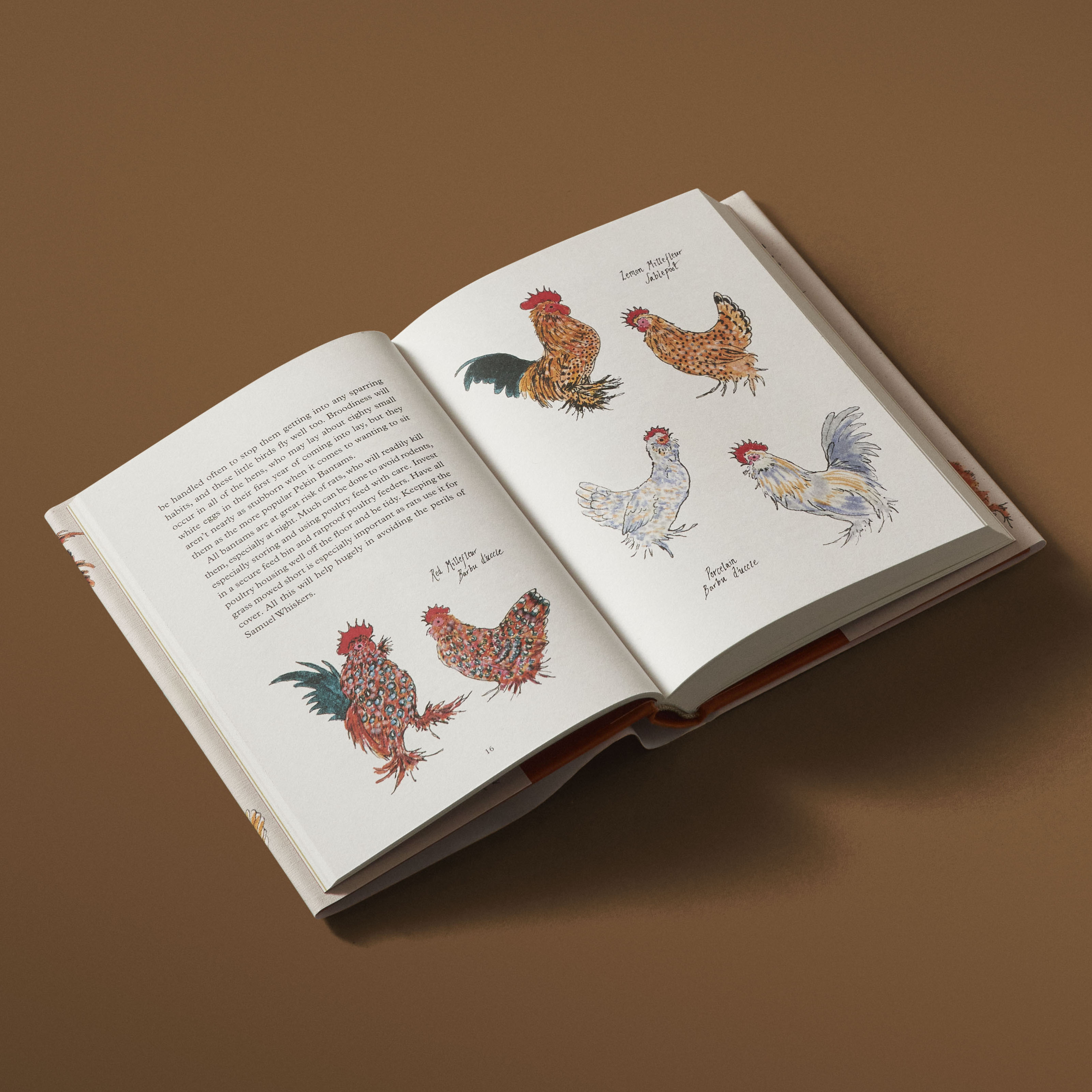 additional book photo