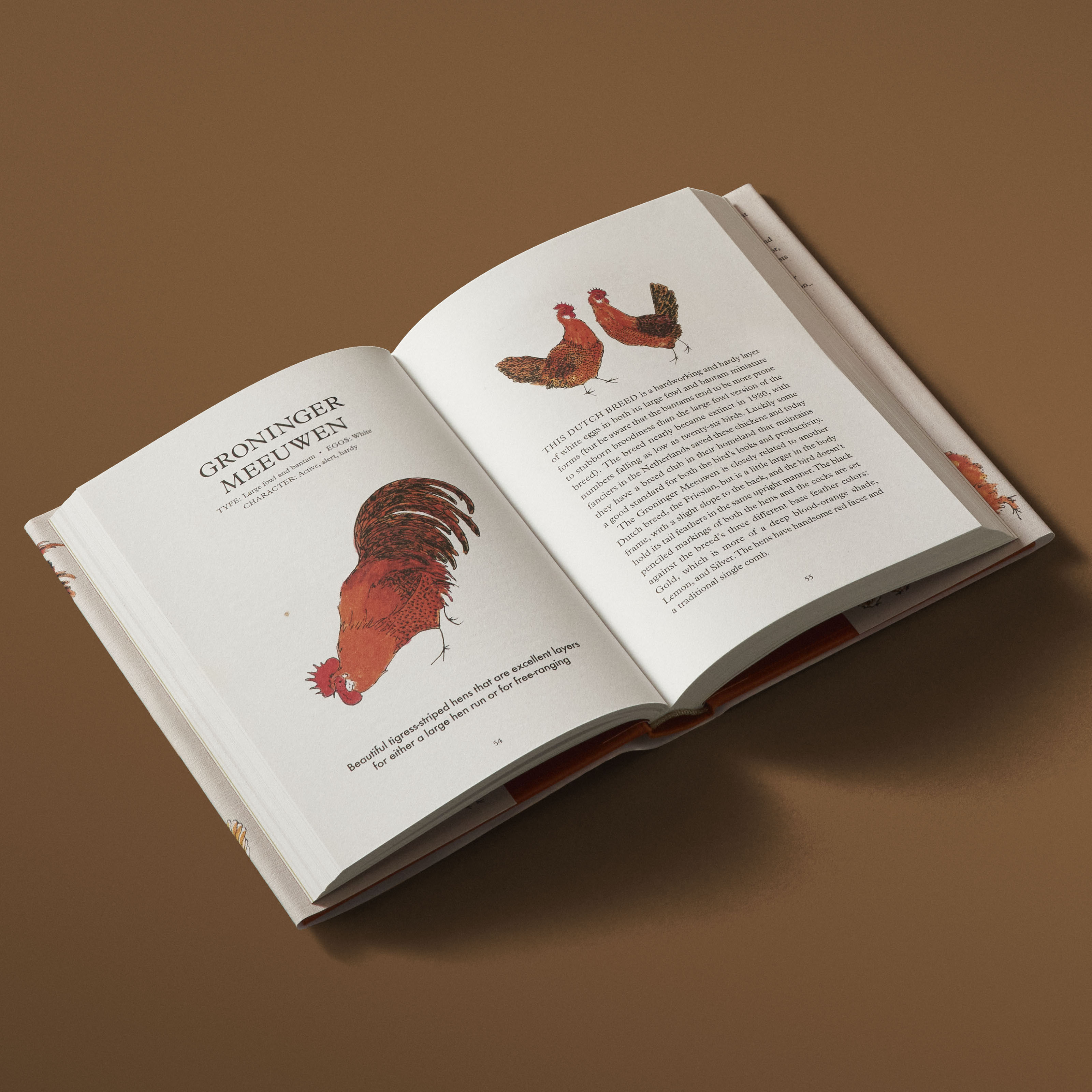 additional book photo