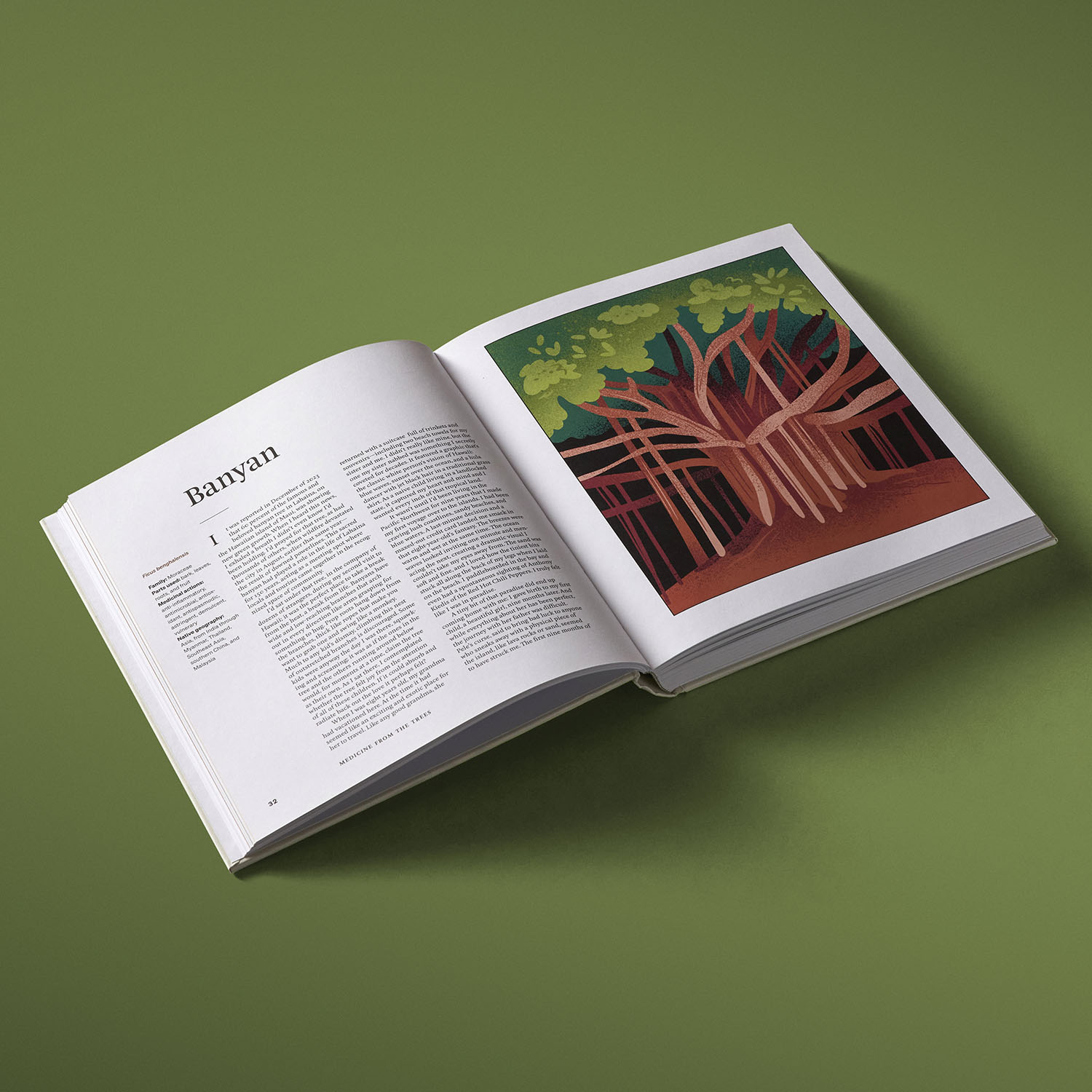 additional book photo