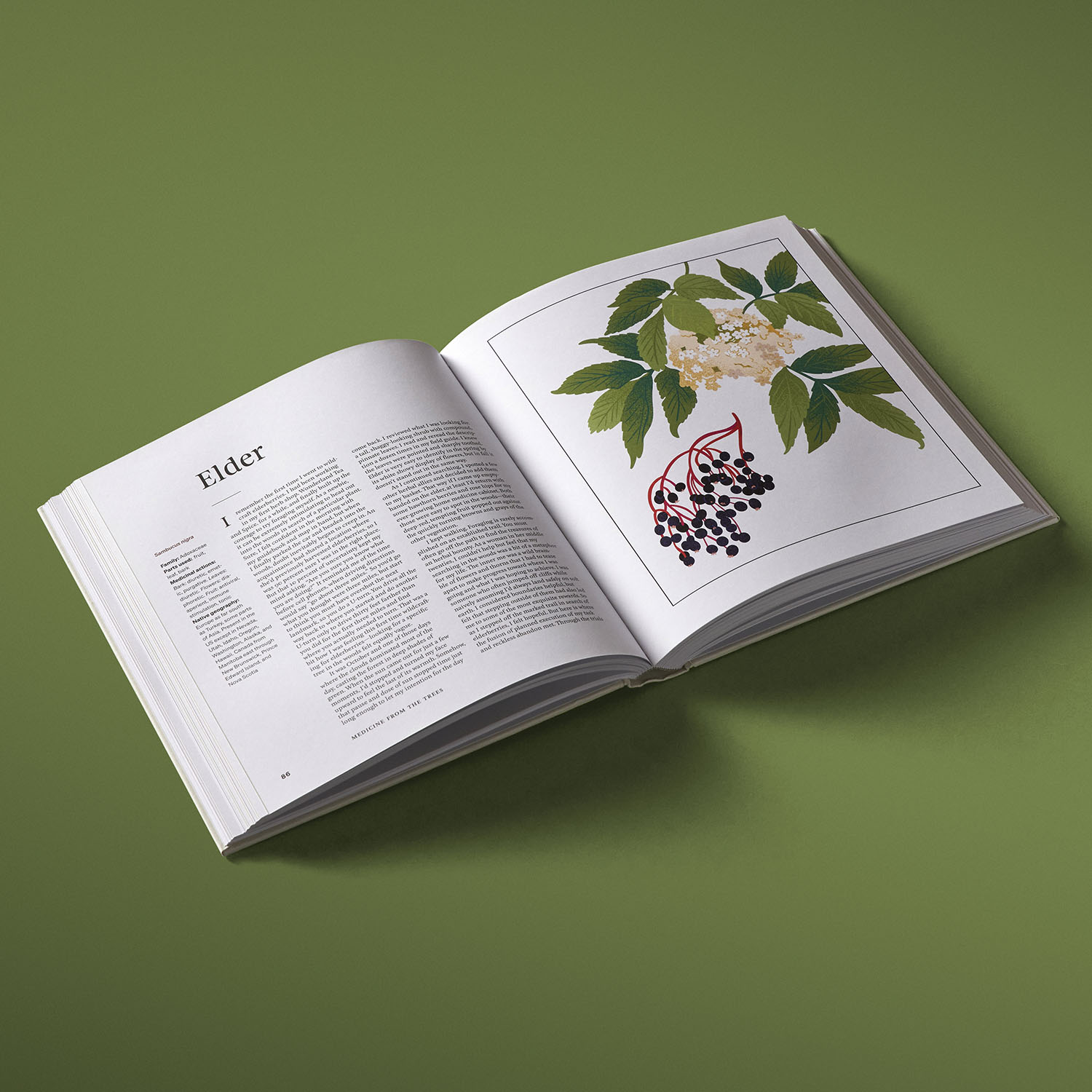 additional book photo