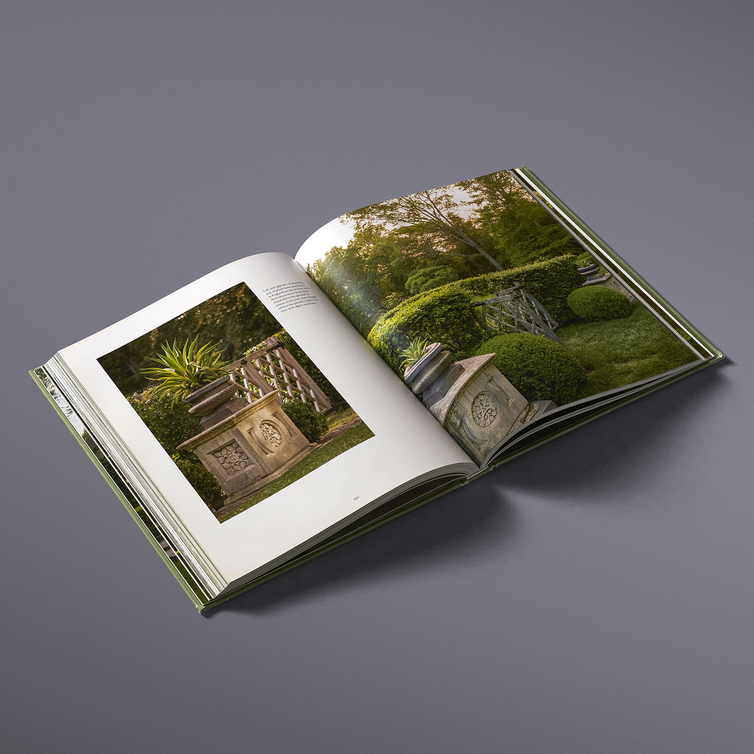 additional book photo