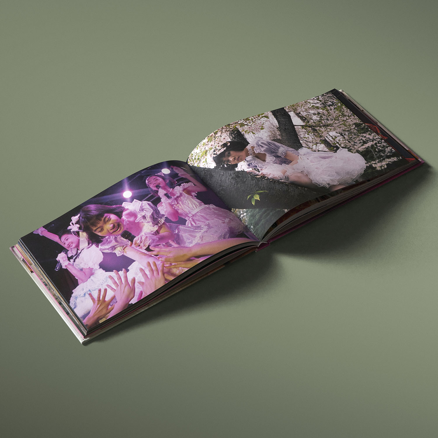 additional book photo