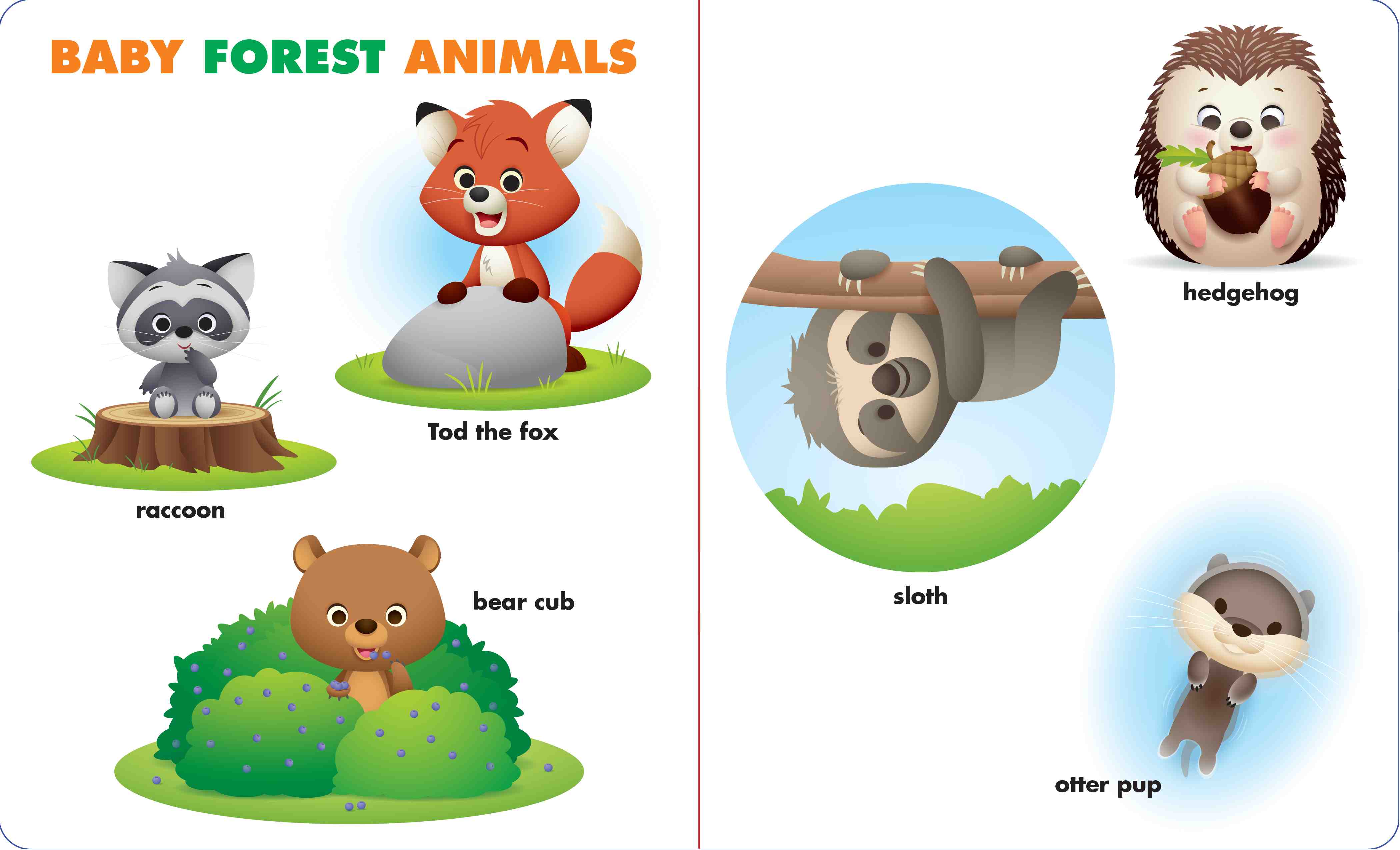 additional book photo