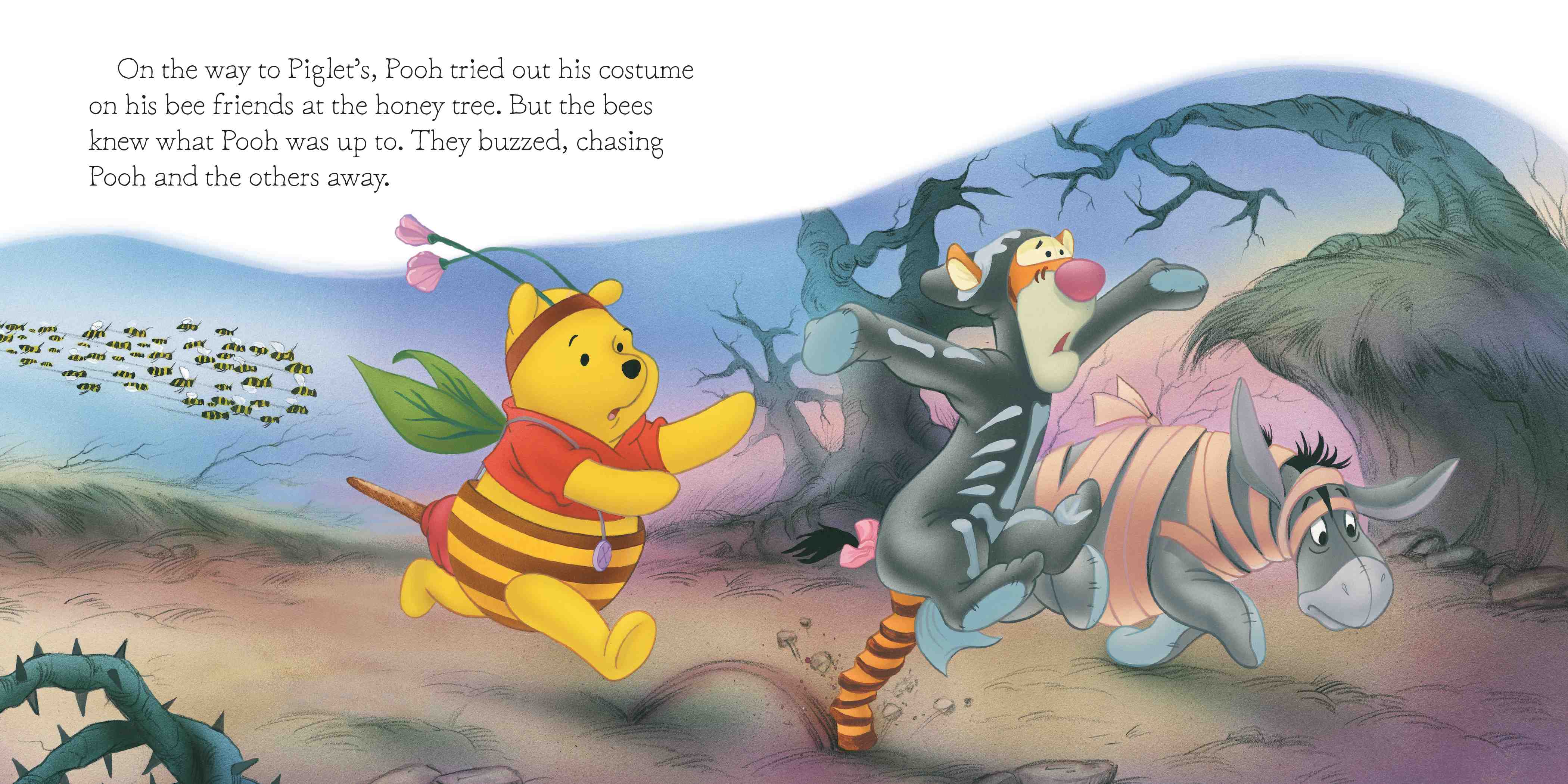 additional book photo
