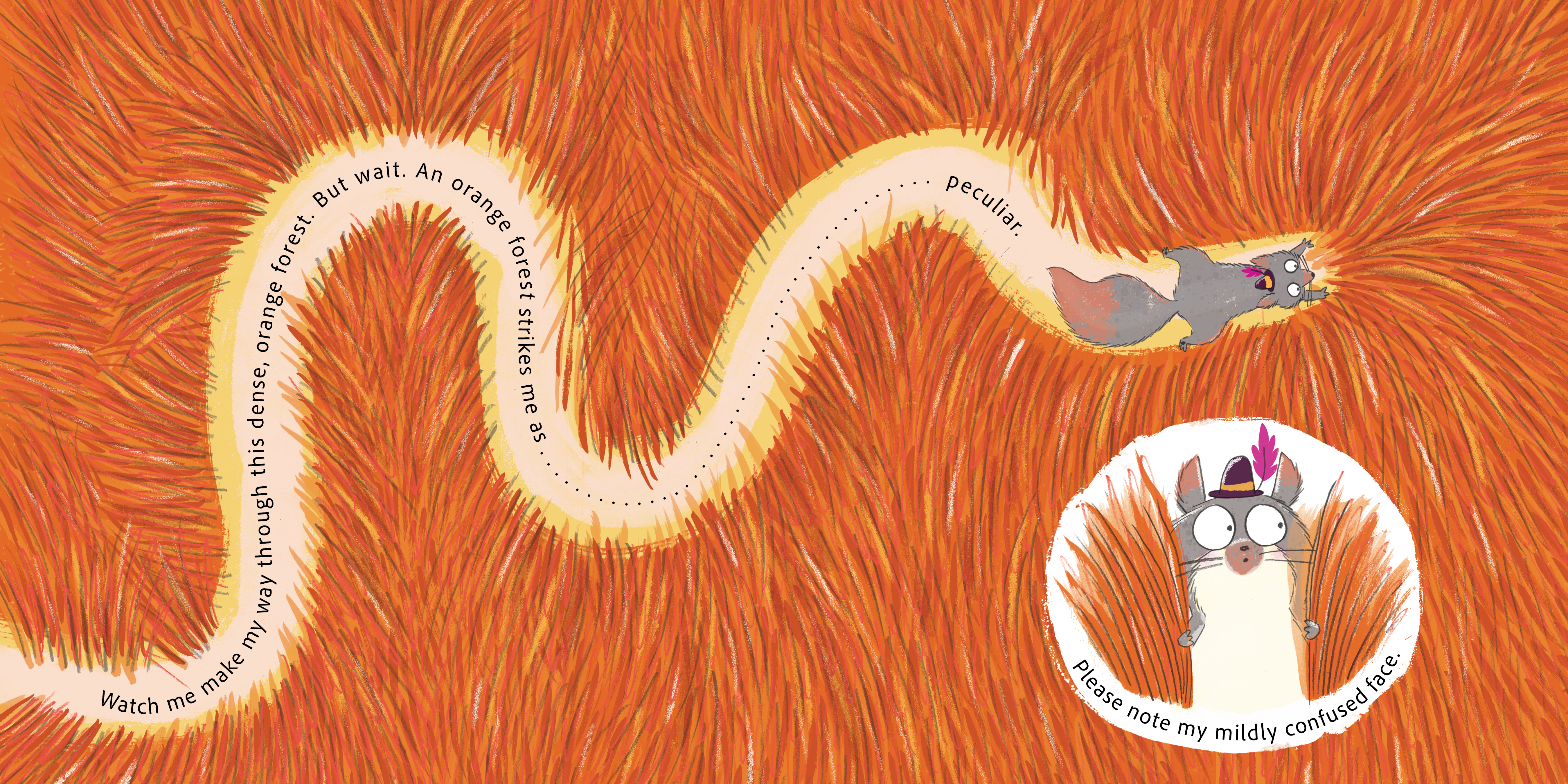 additional book photo