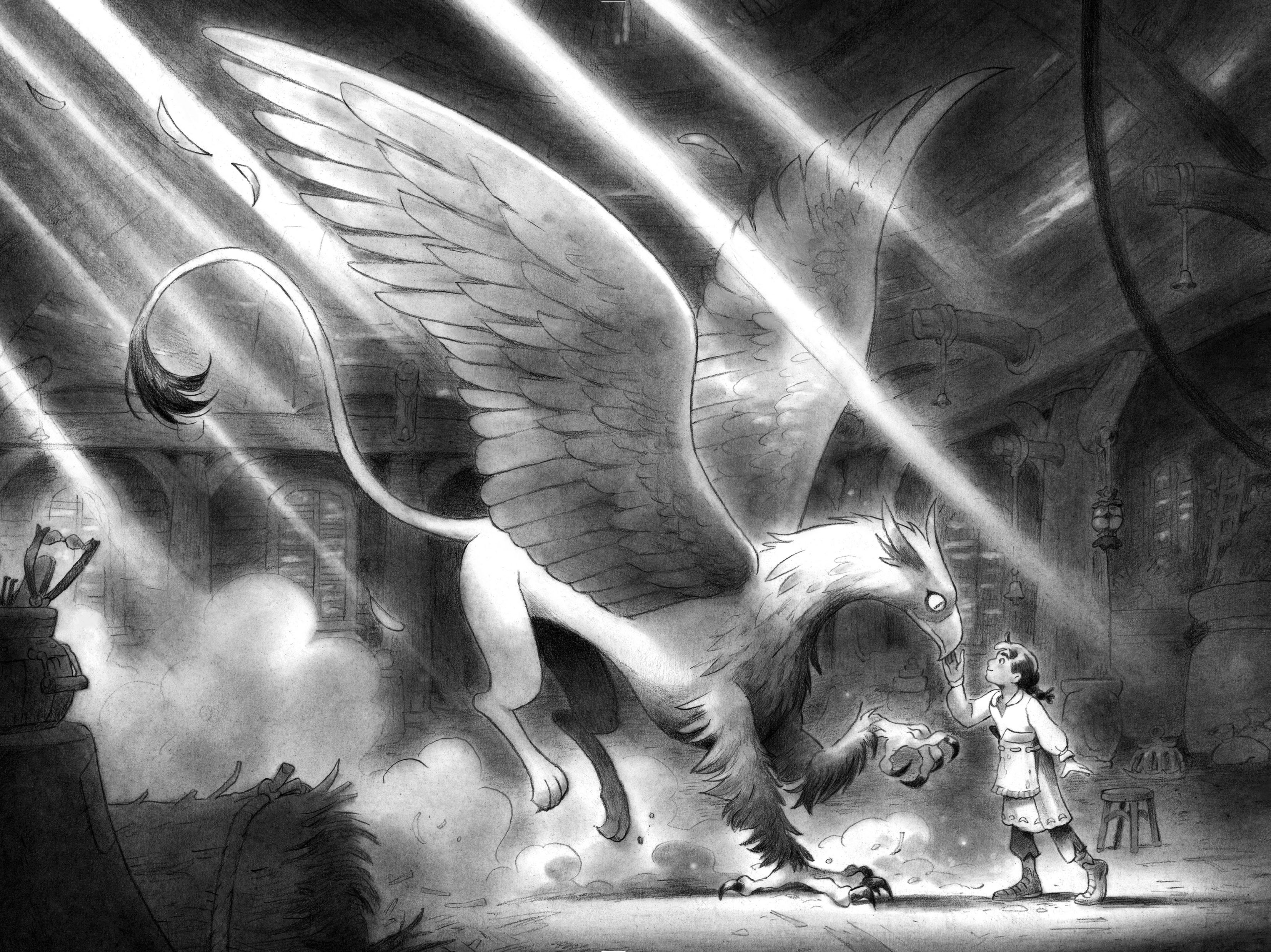 additional book photo