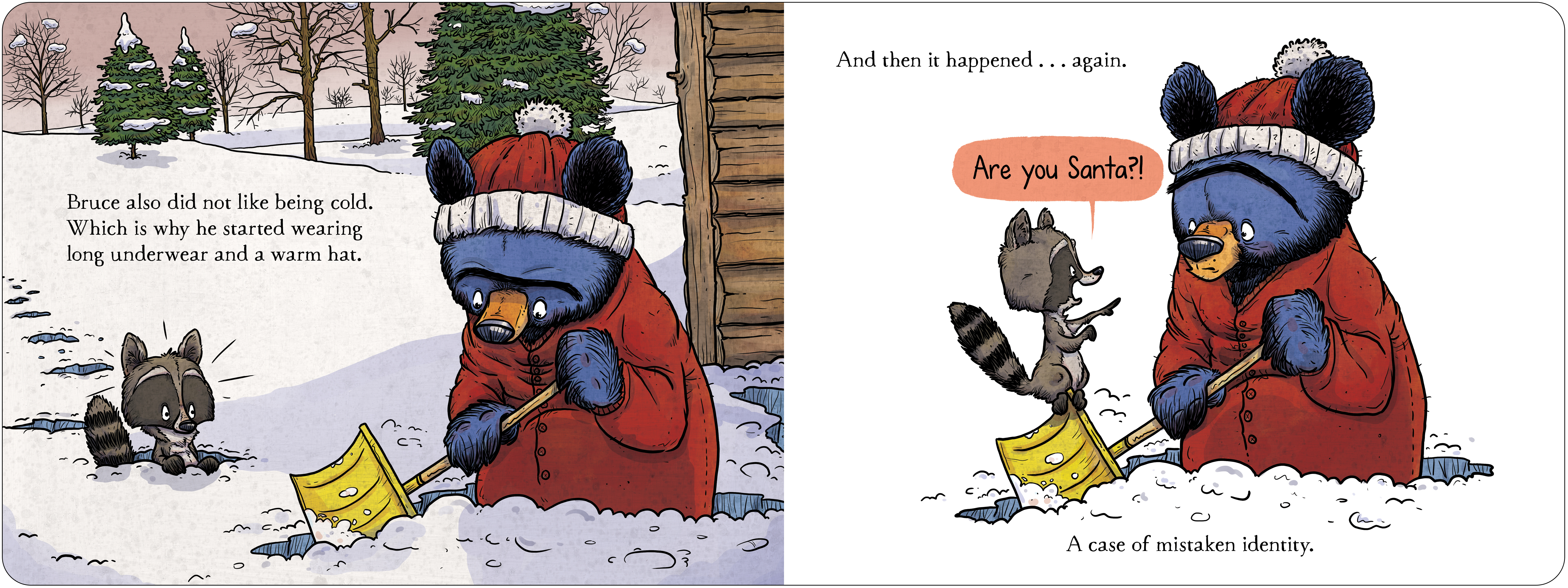 additional book photo