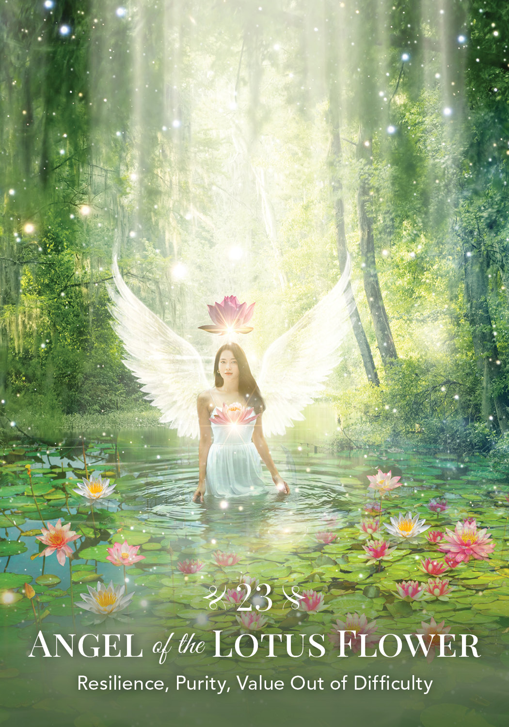 additional book photo