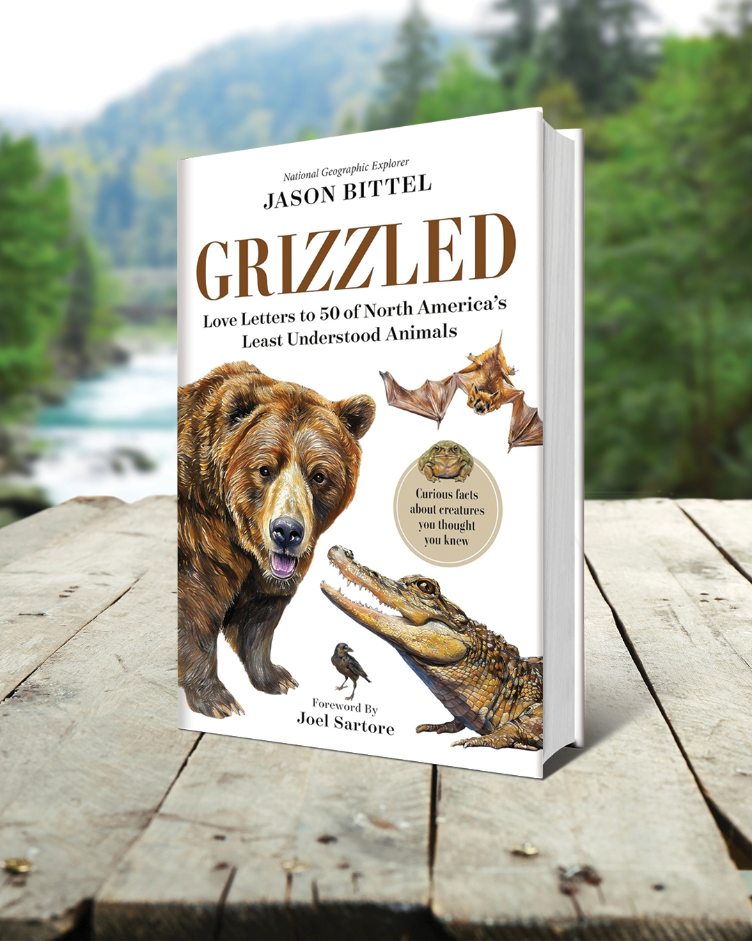 additional book photo