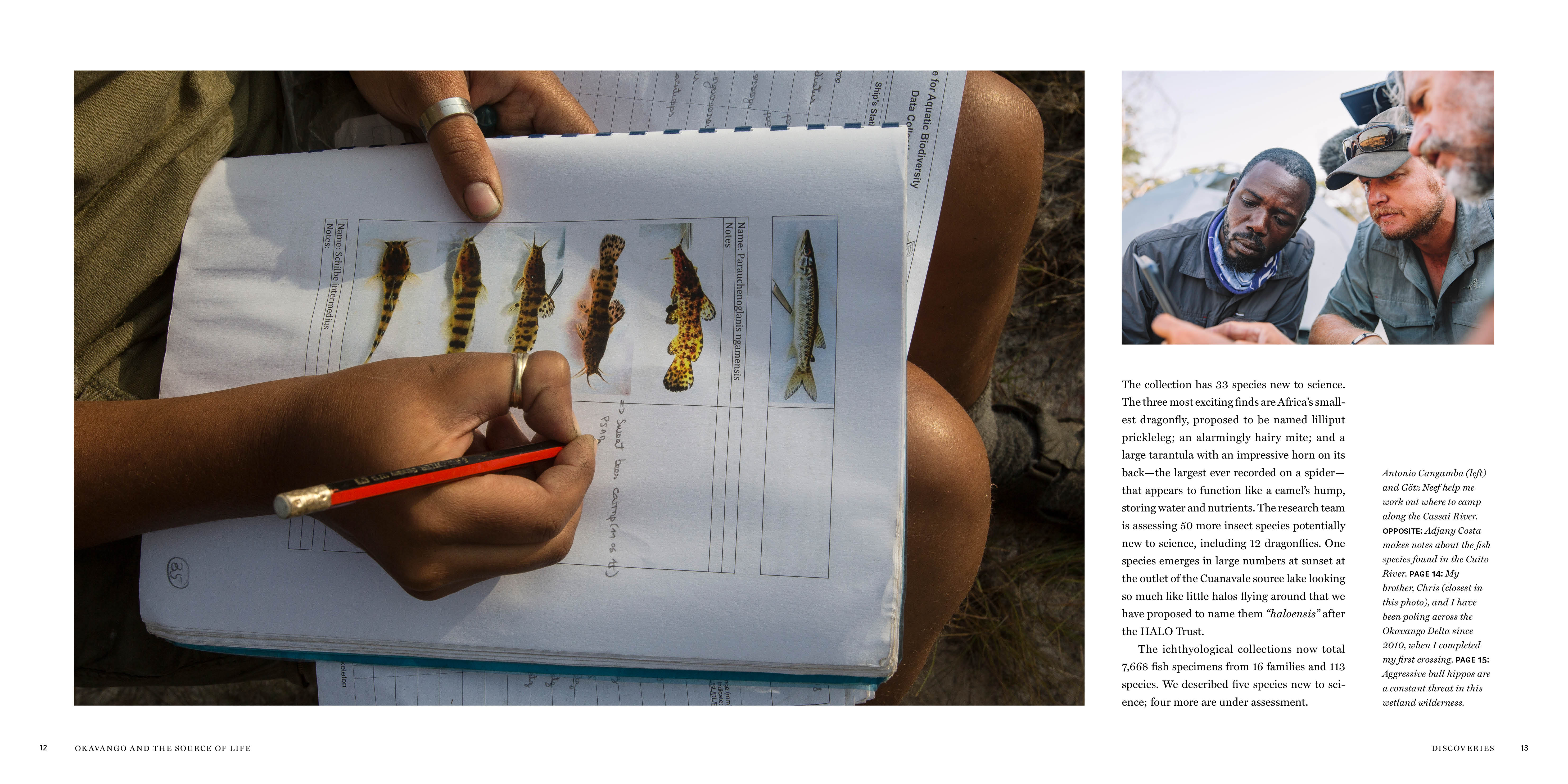 additional book photo