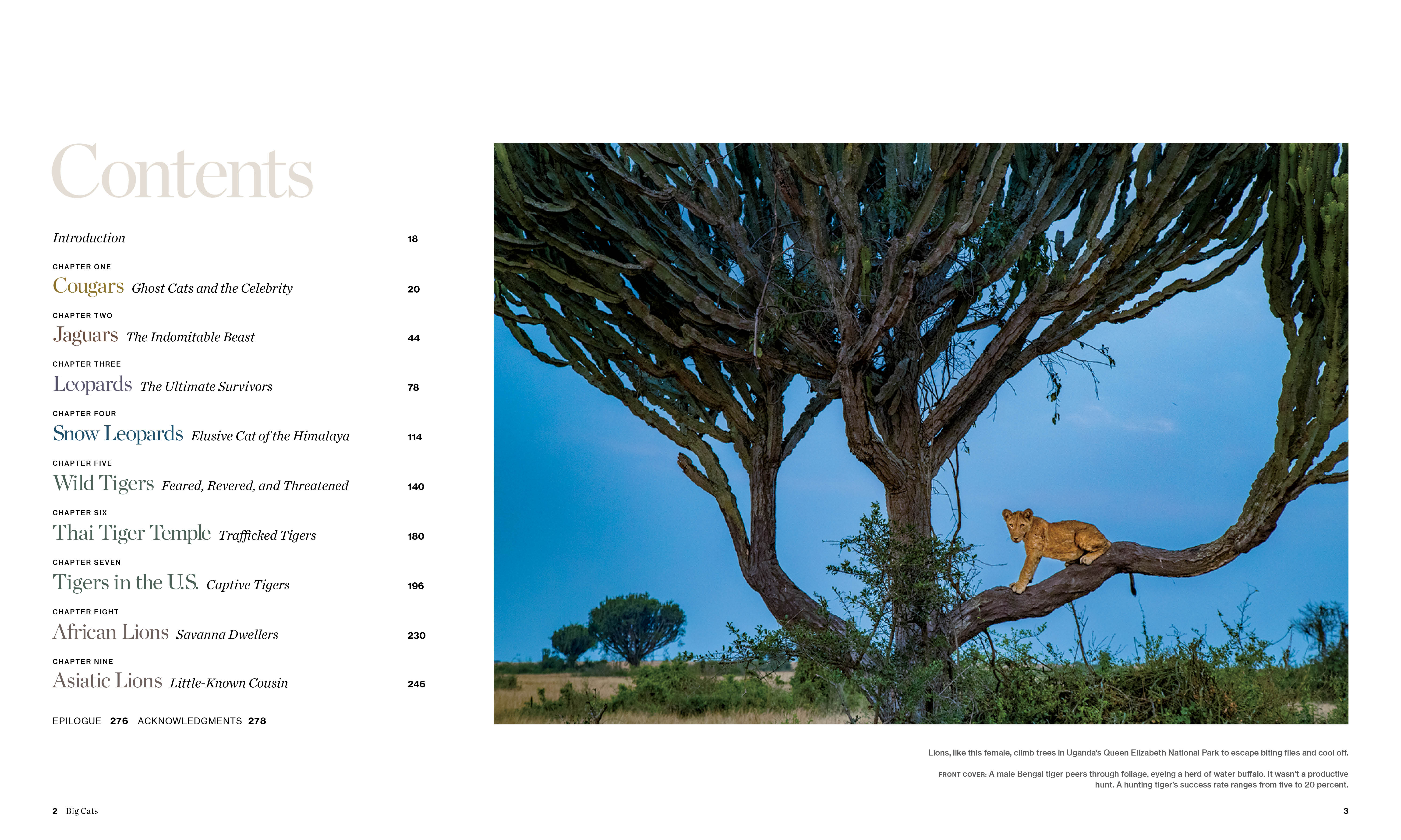 additional book photo