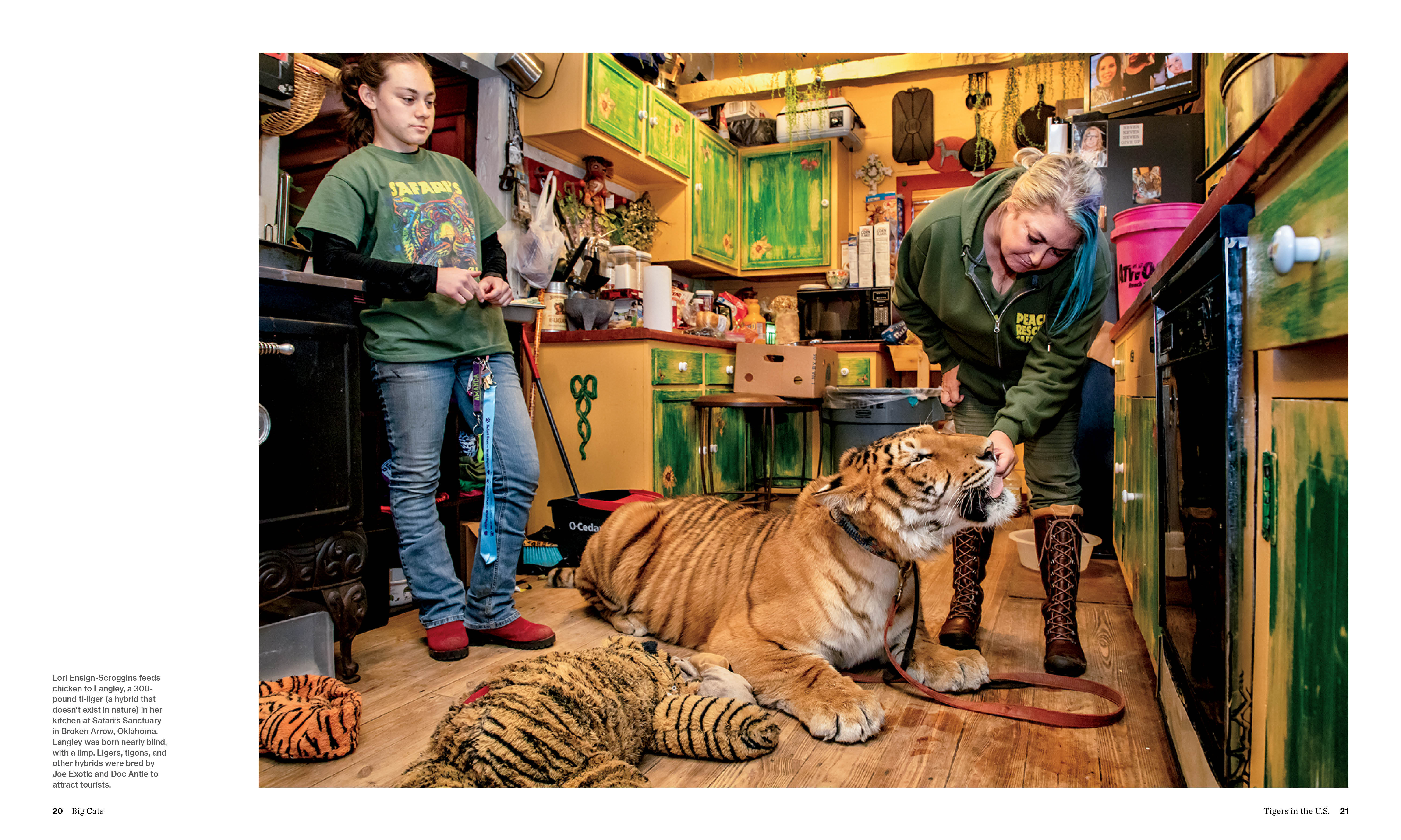 additional book photo