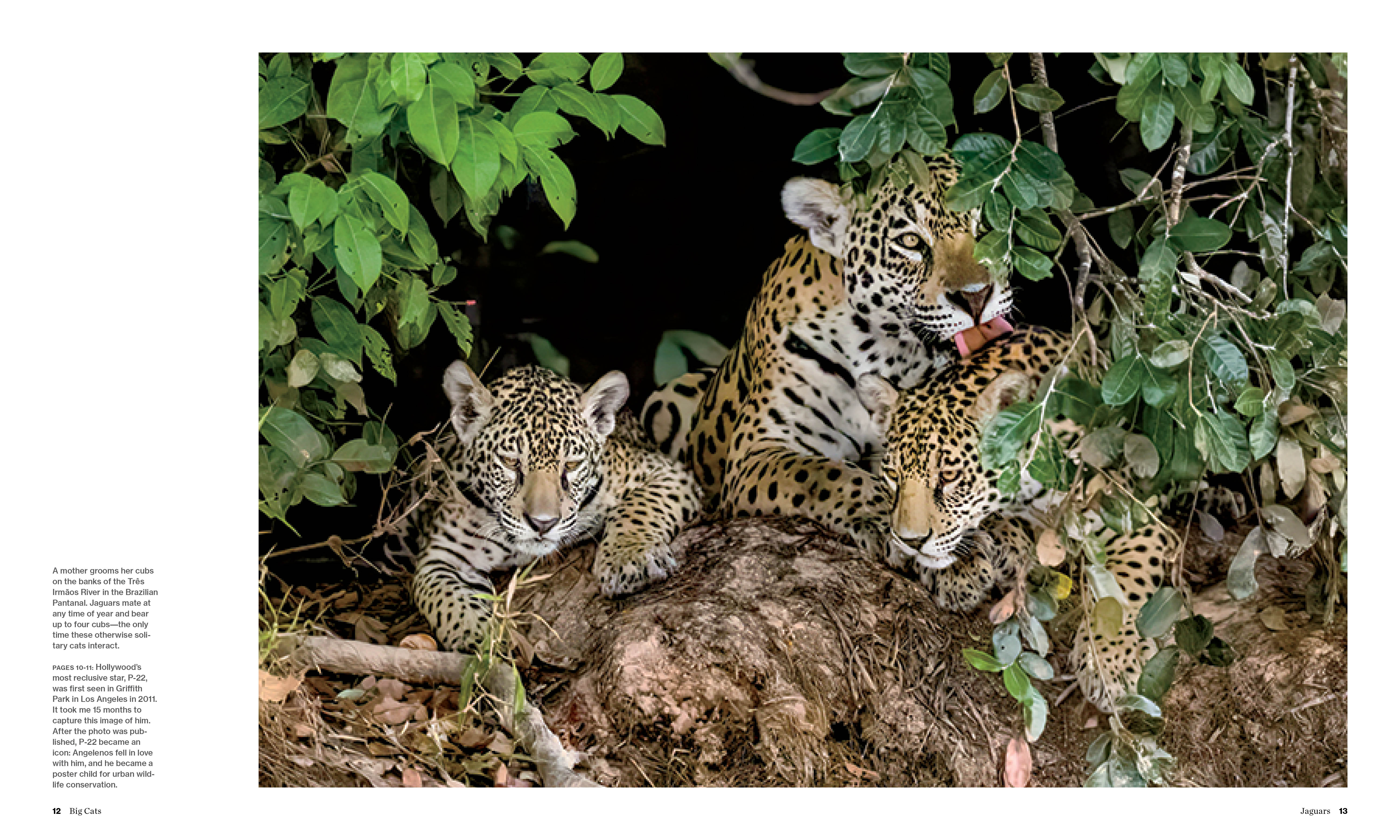 additional book photo