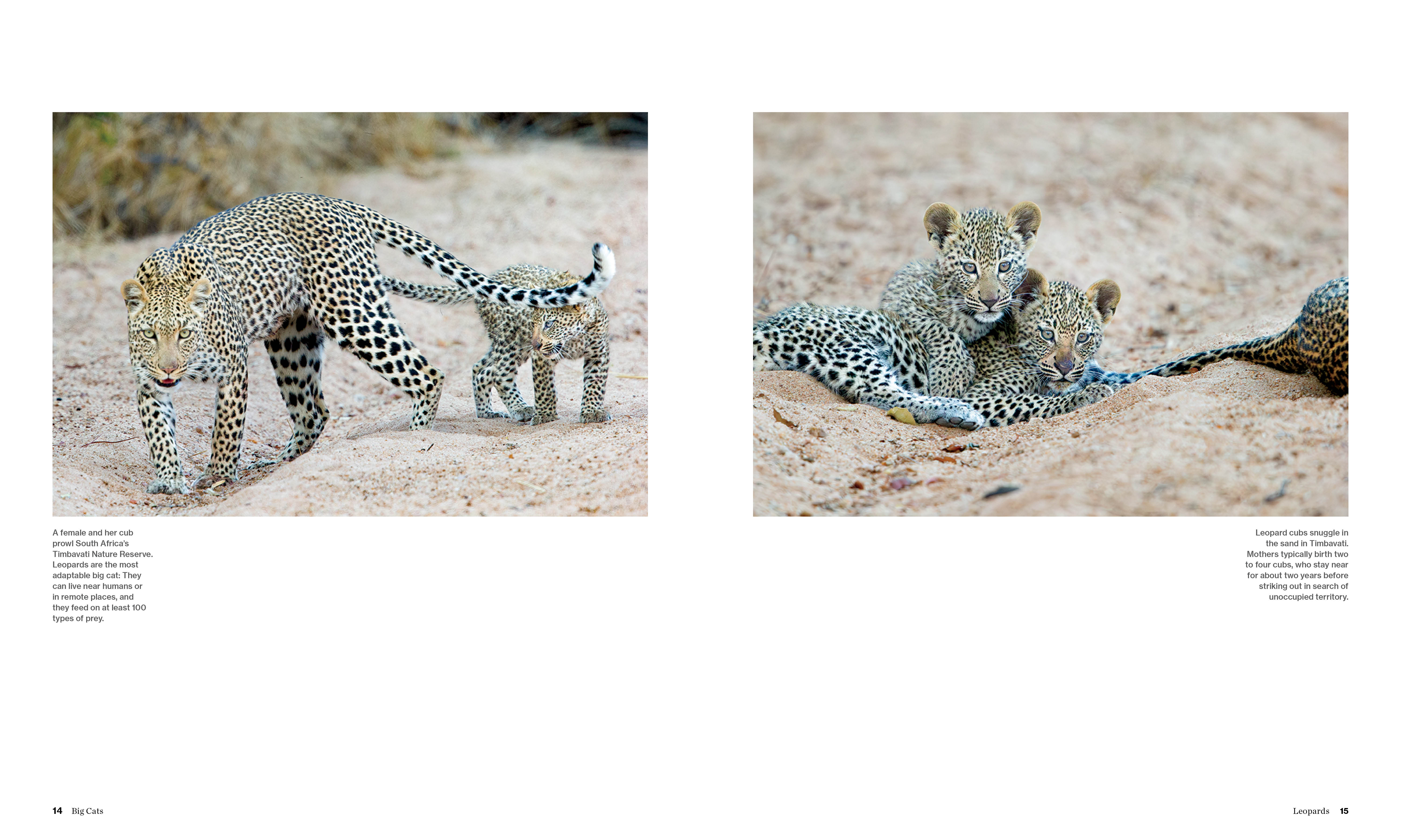 additional book photo