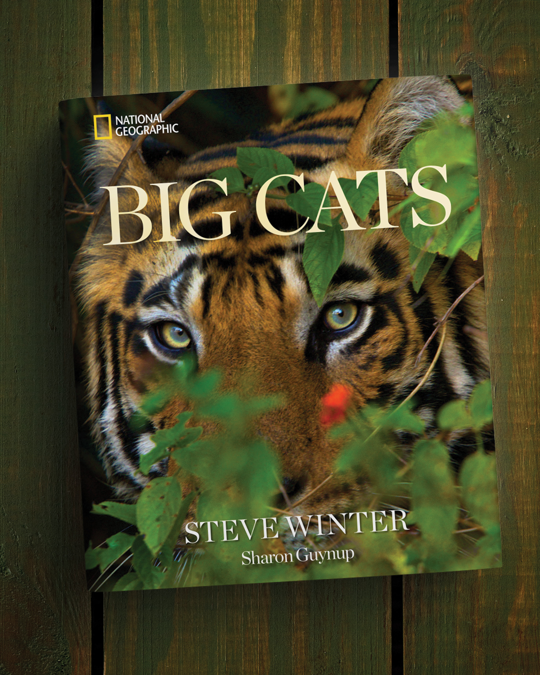 additional book photo