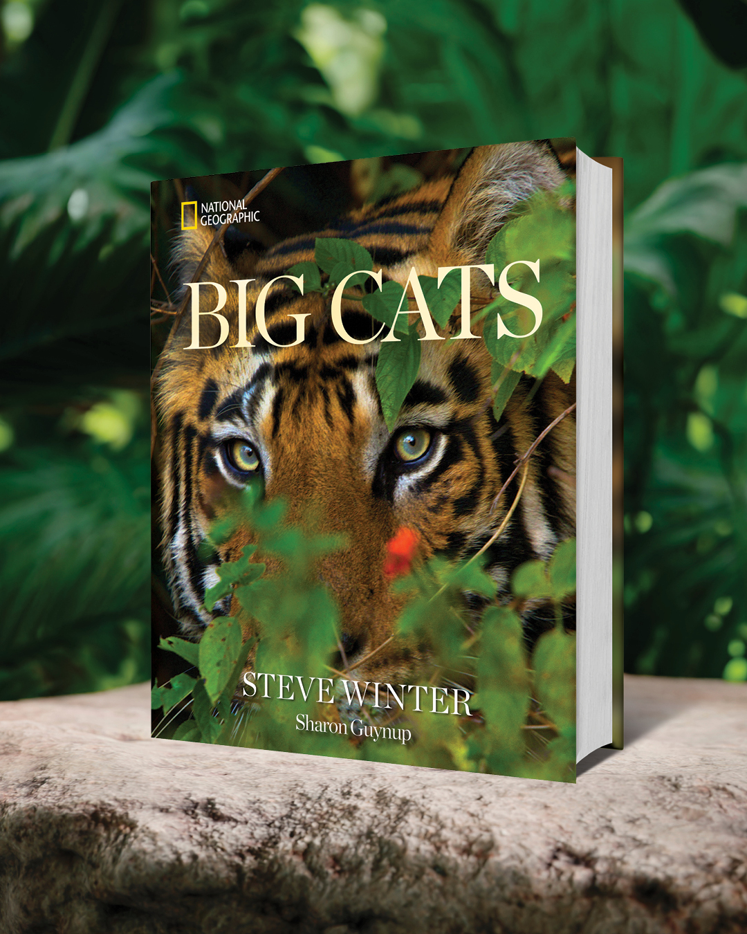 additional book photo