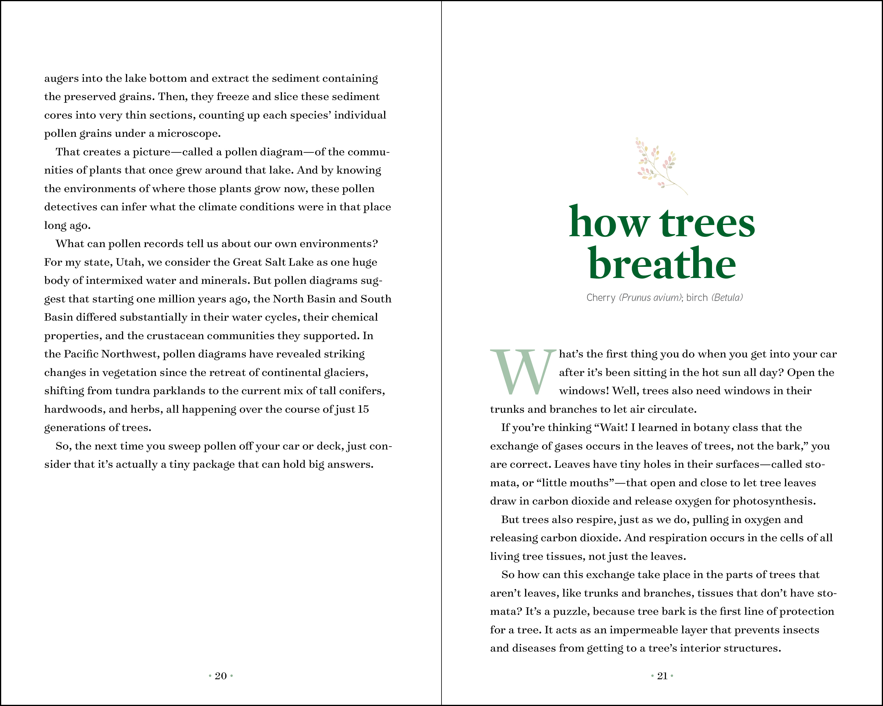 additional book photo