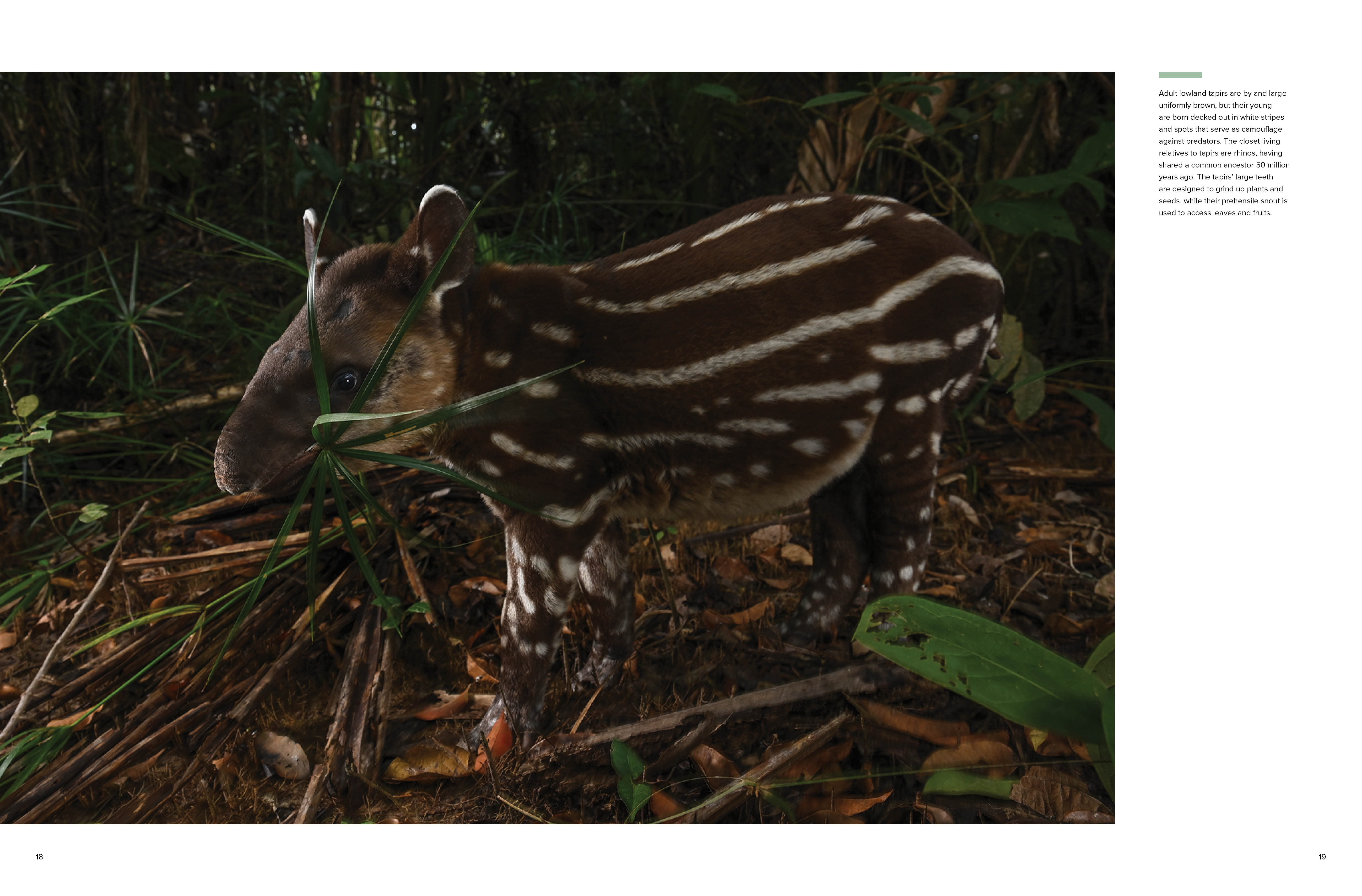 additional book photo