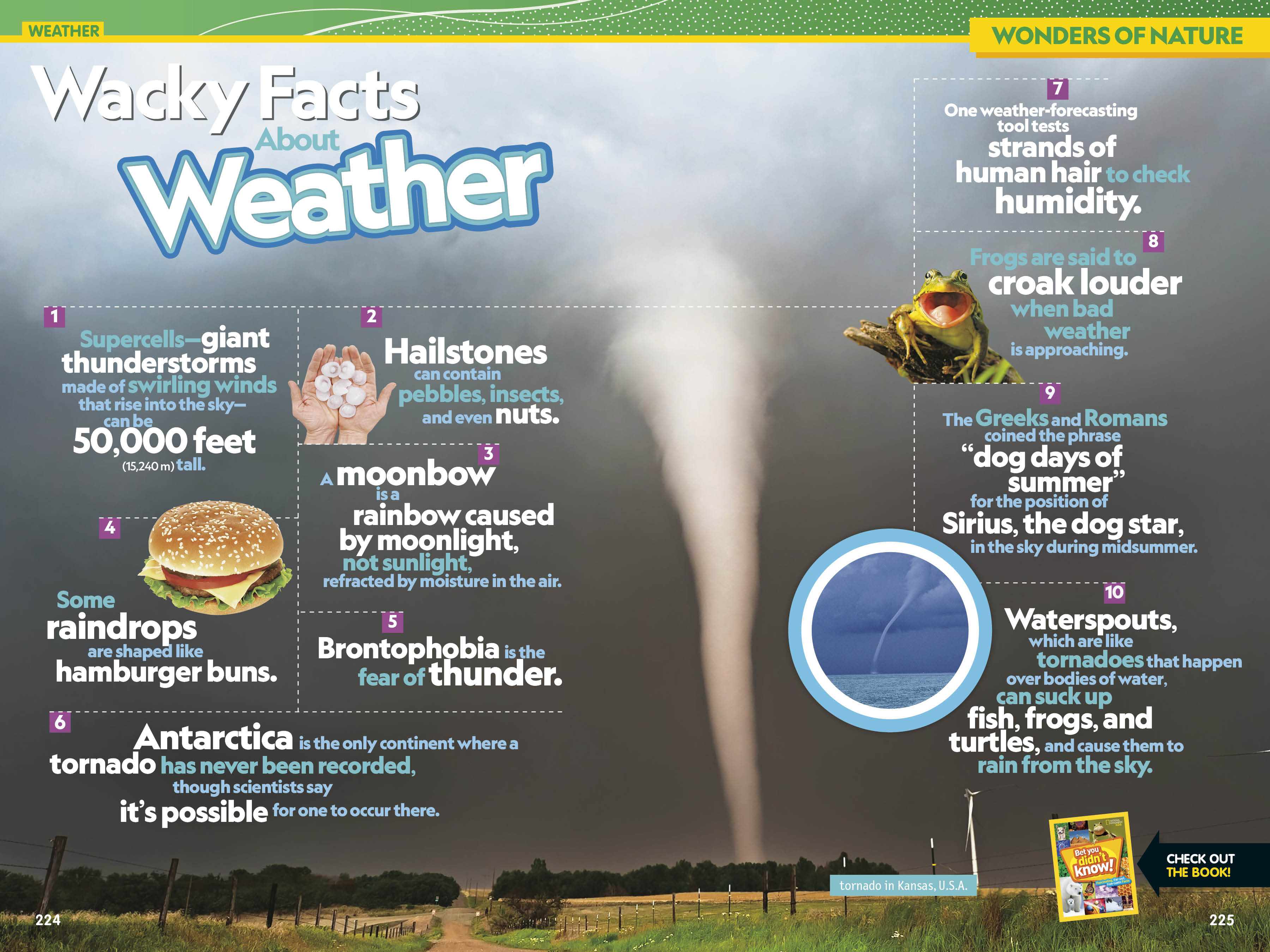 additional book photo