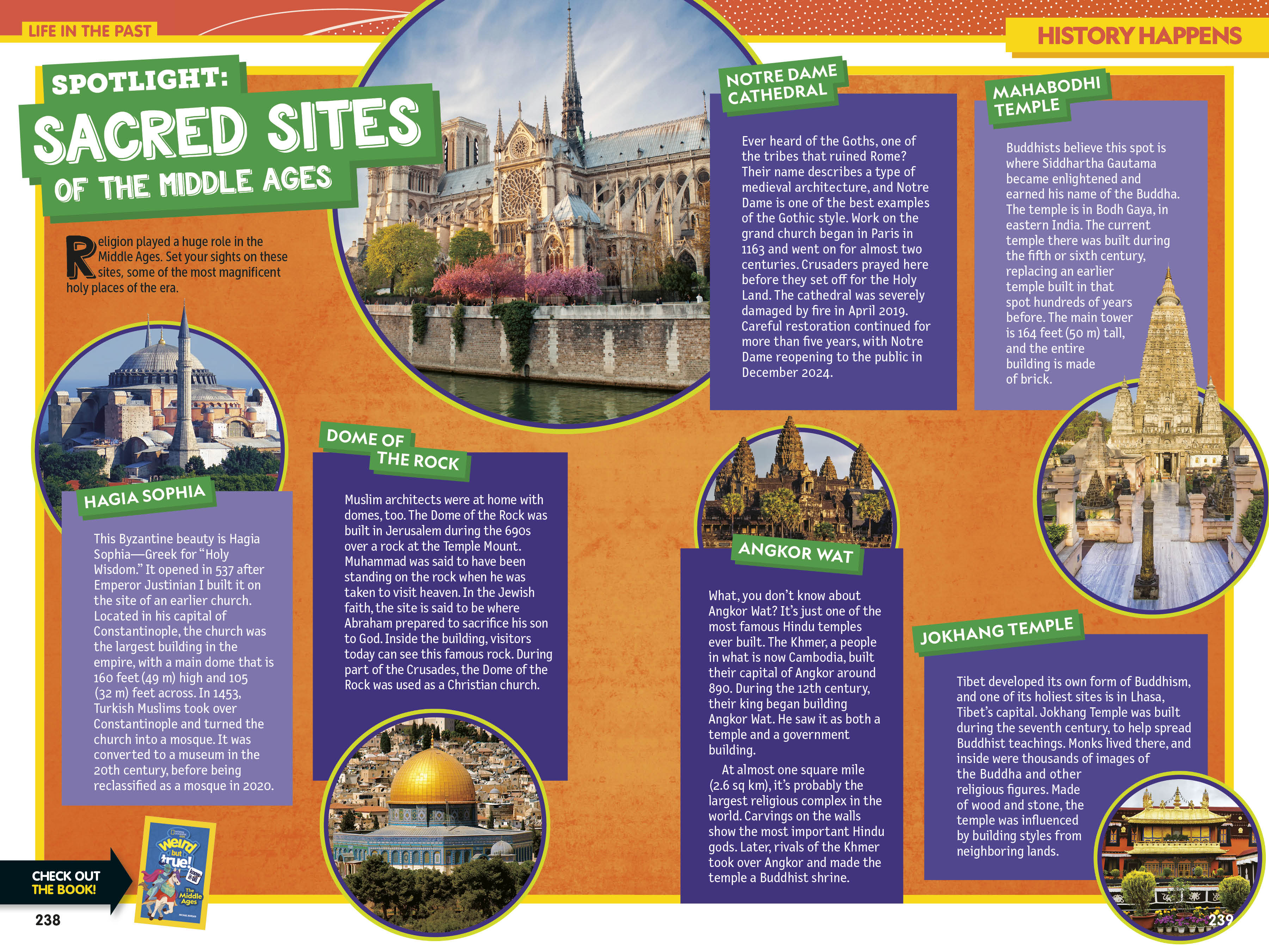 additional book photo