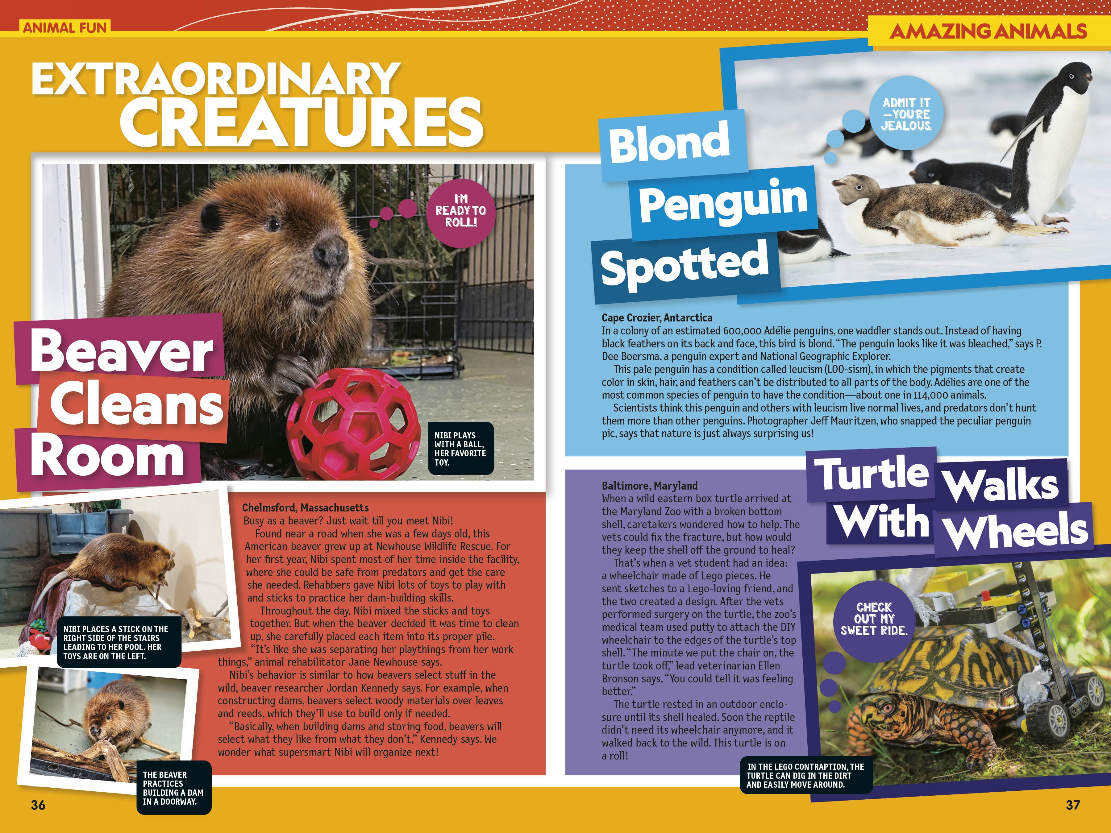 additional book photo