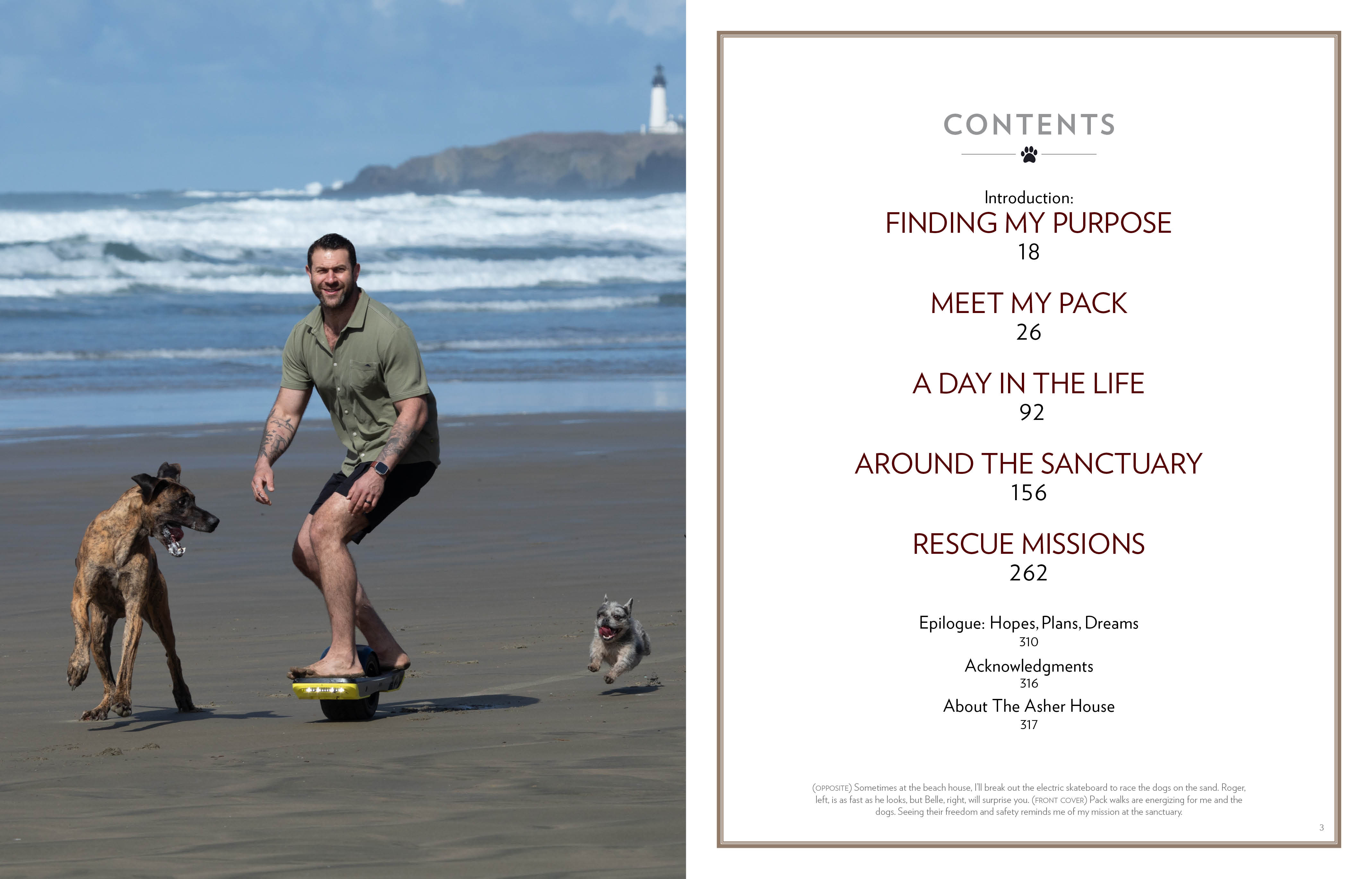 additional book photo