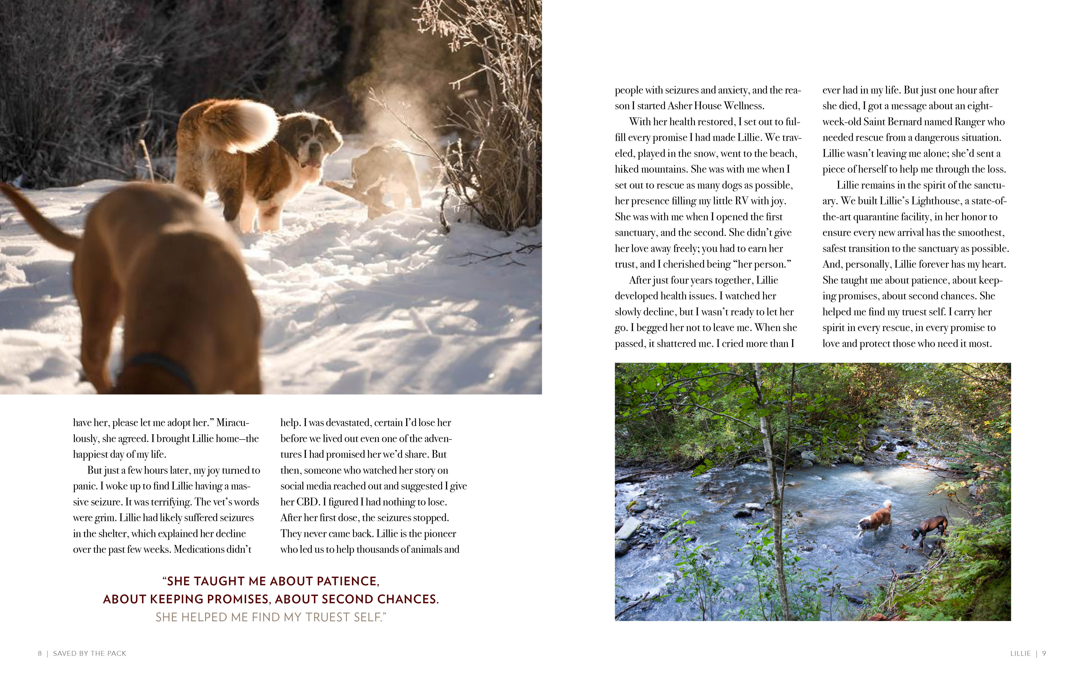 additional book photo