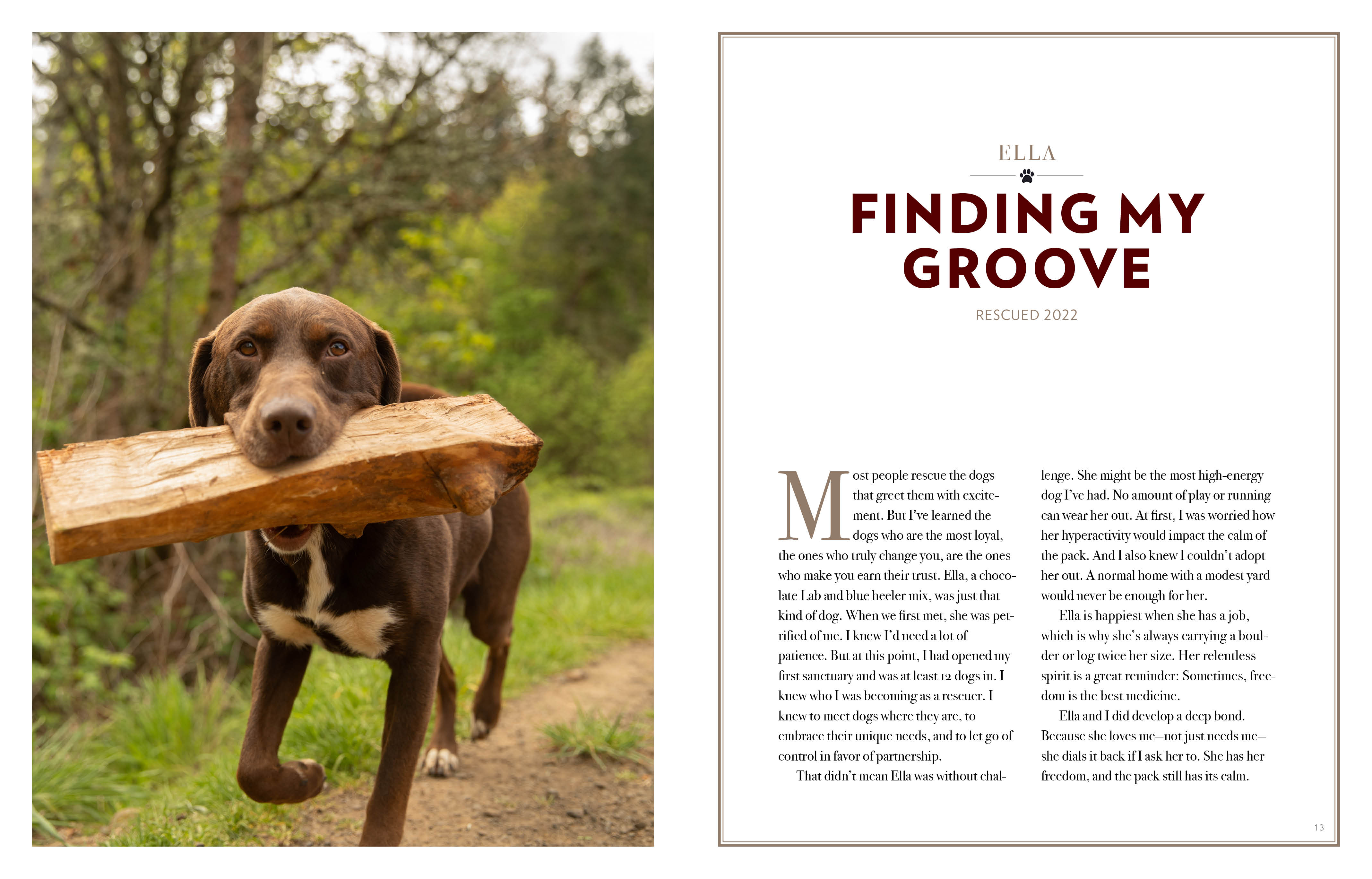 additional book photo