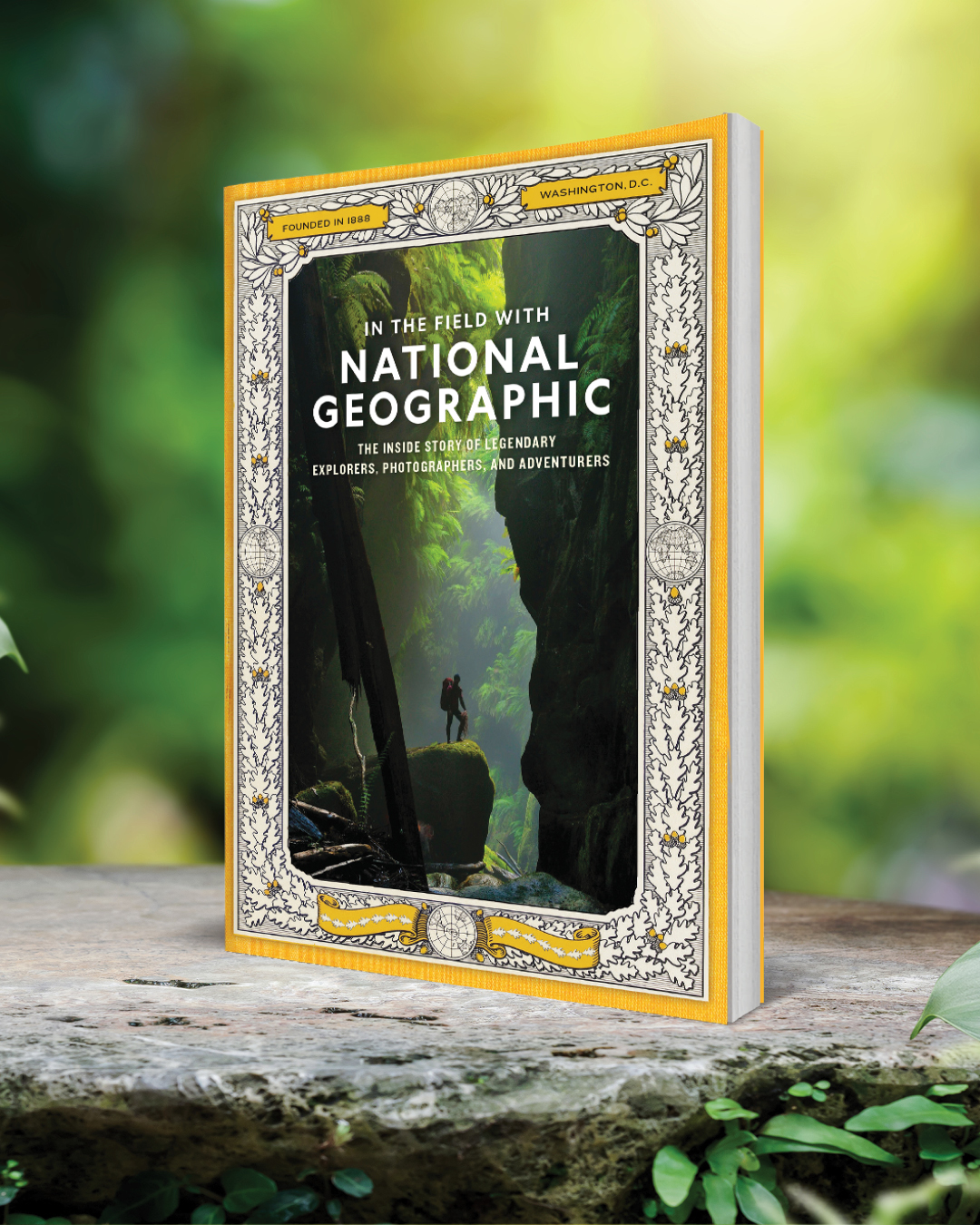 additional book photo