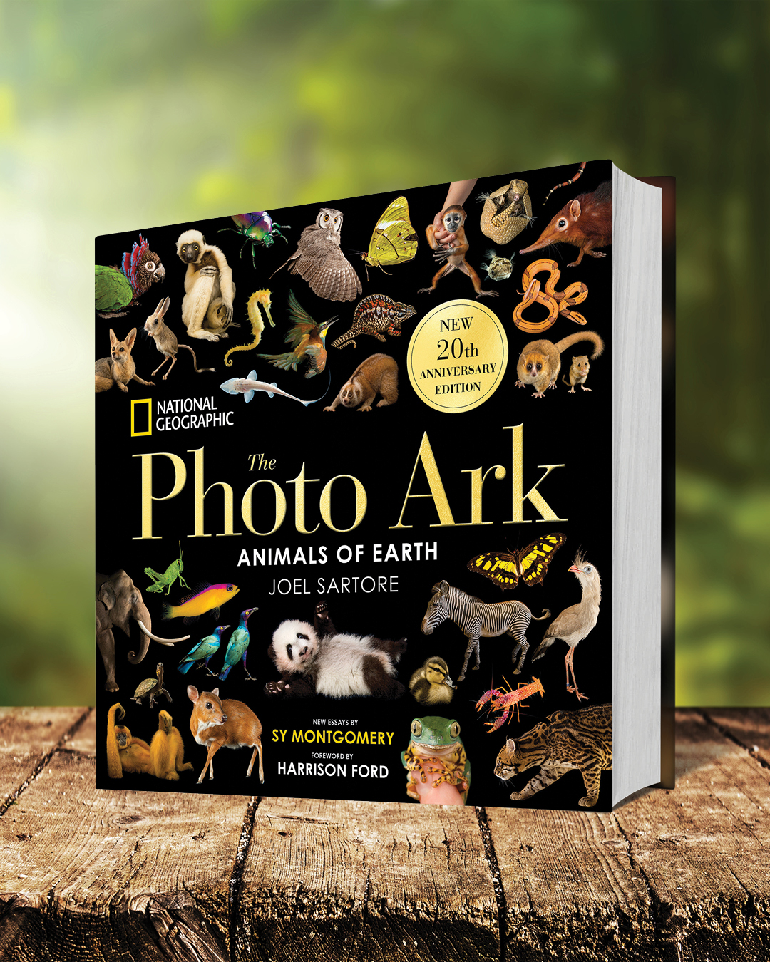 additional book photo