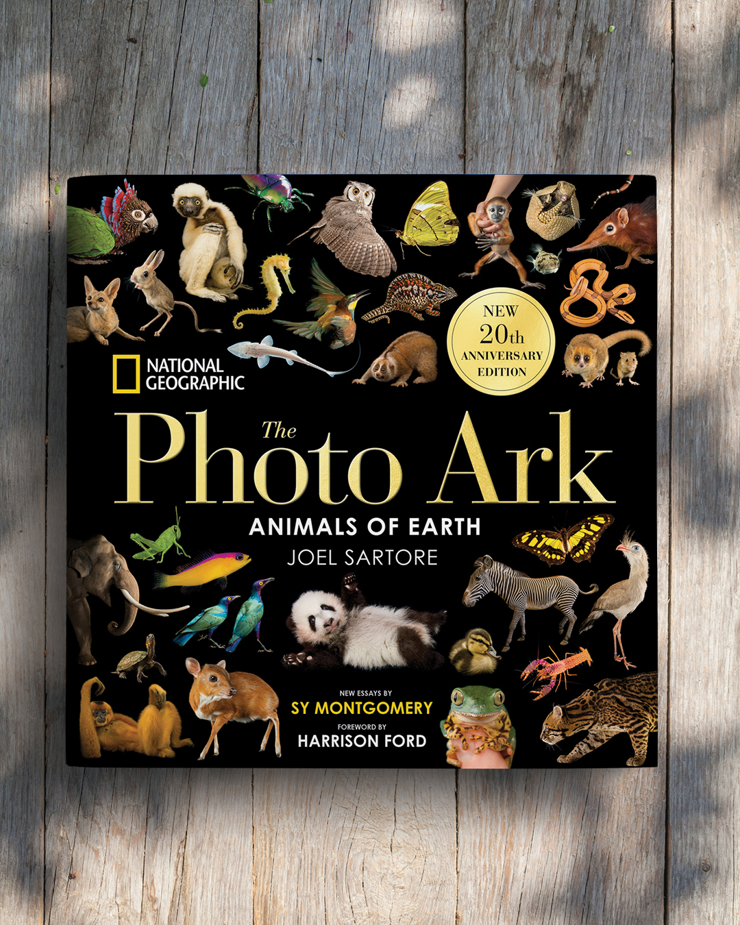 additional book photo